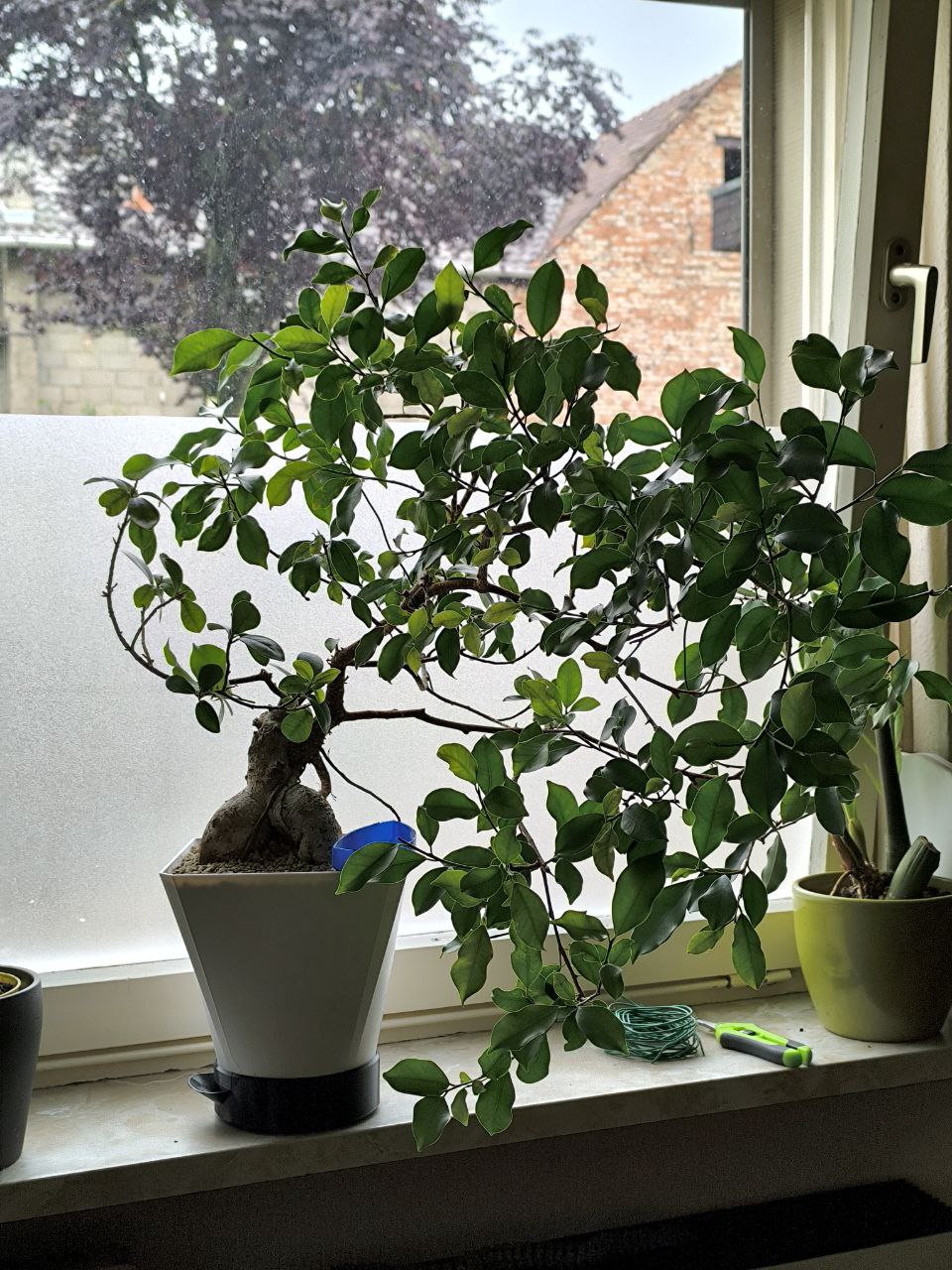 "QuadraRound" Blumentopf