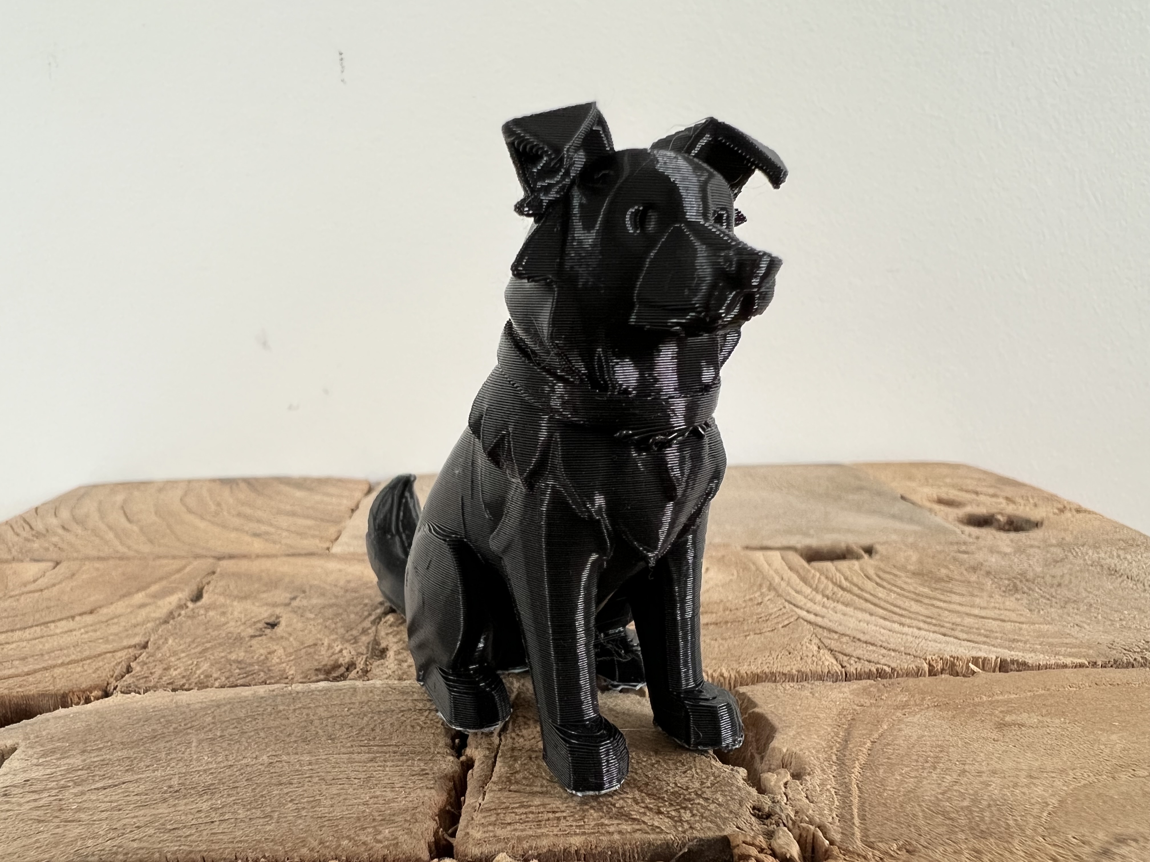 Miniatura 2 do modelo 3D Sitting Border Collie