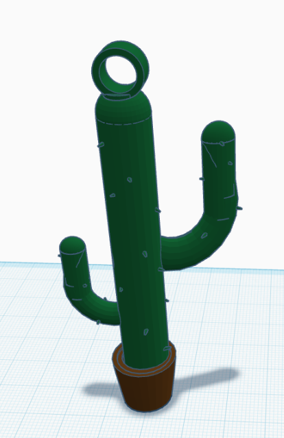 Toothpick Cactus
