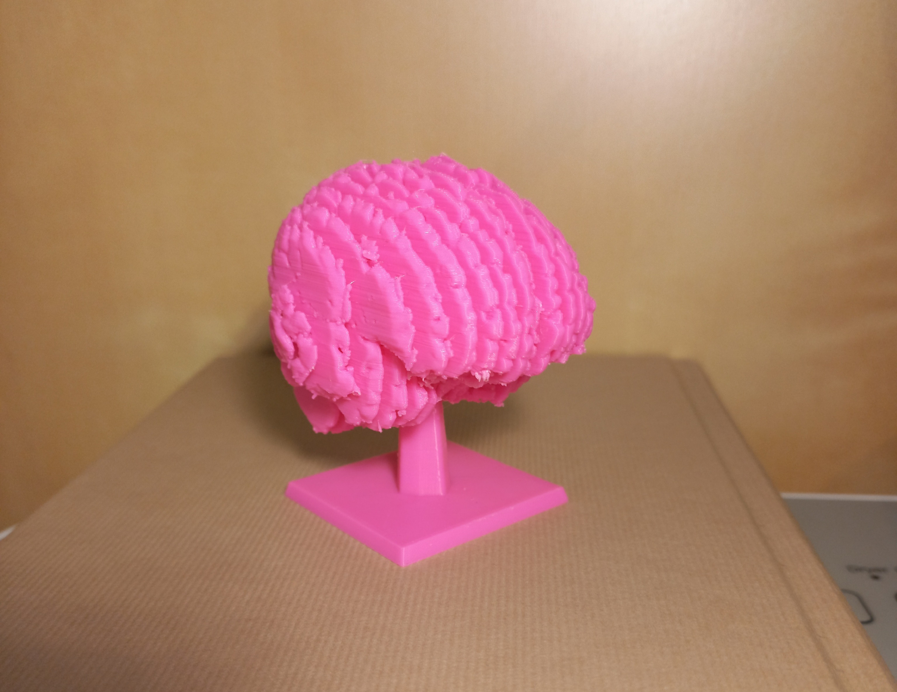 Sliced Brain + Stand — miniatura 6