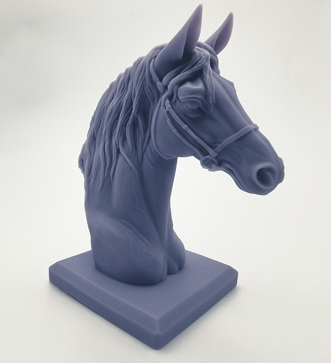 Beautiful Horse Bust