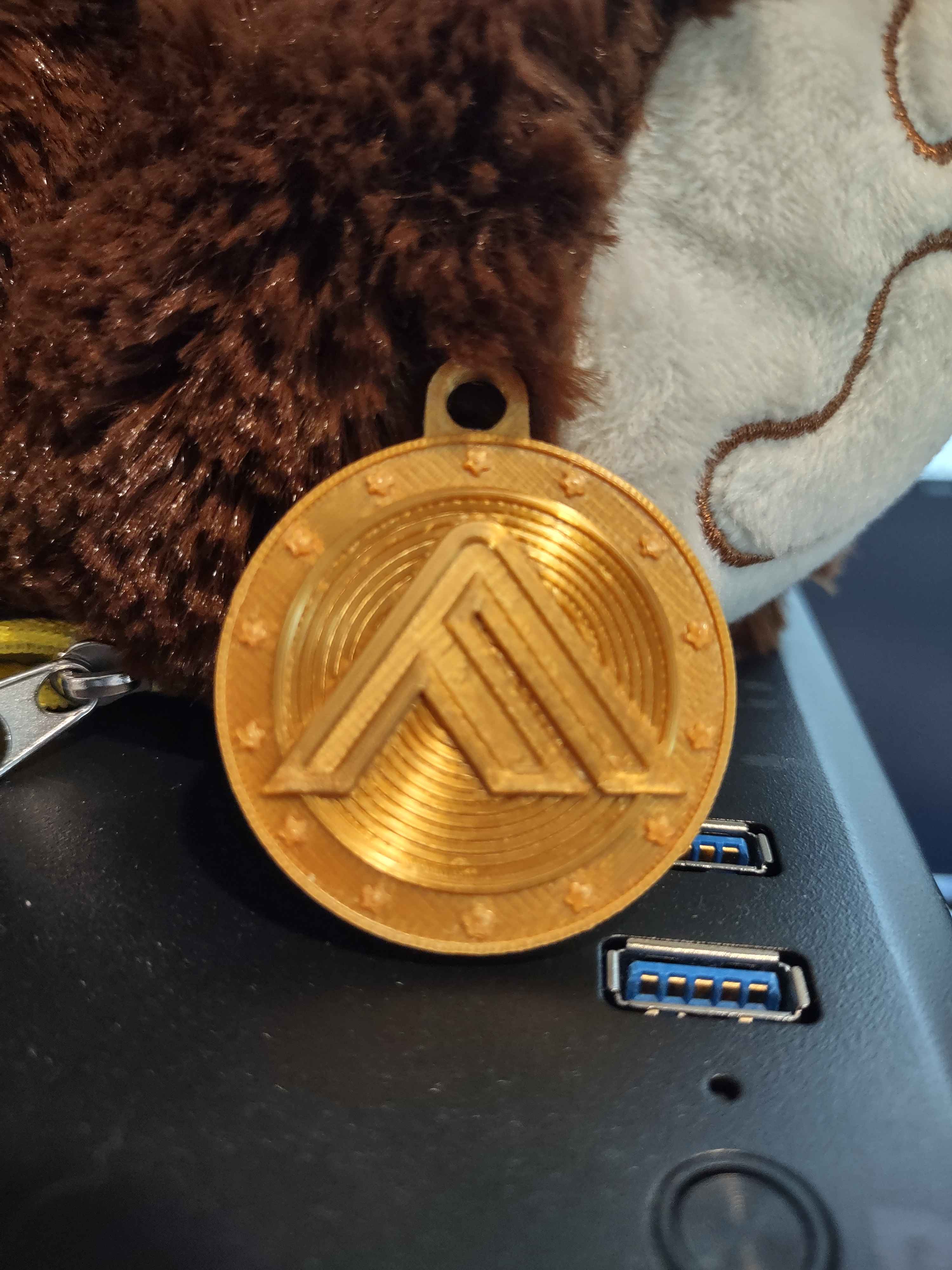 THE FINALS coin / token keychain