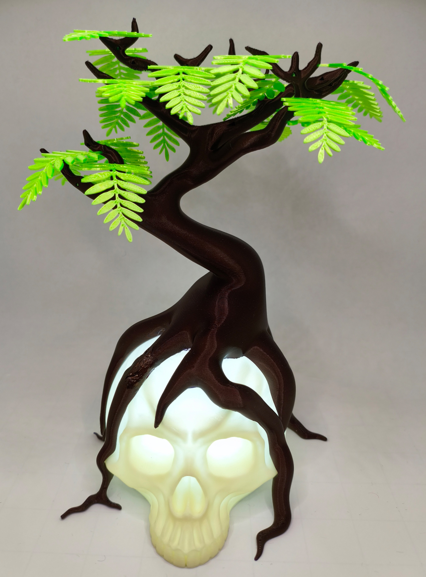Rooted Mind – Bonsai of Life and Death - 8 Leaf Variants -  LED Lamp