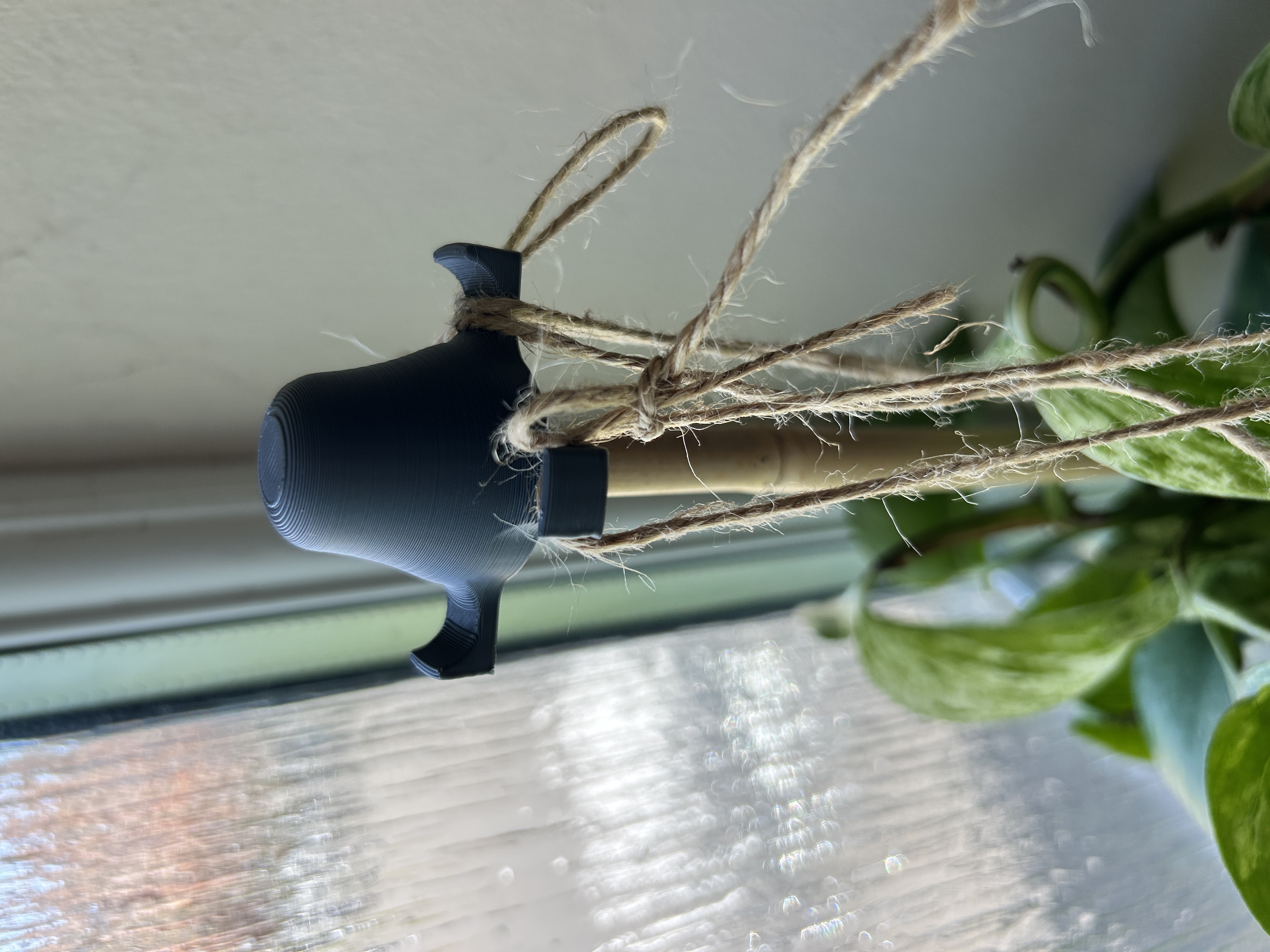 Plant Thingy