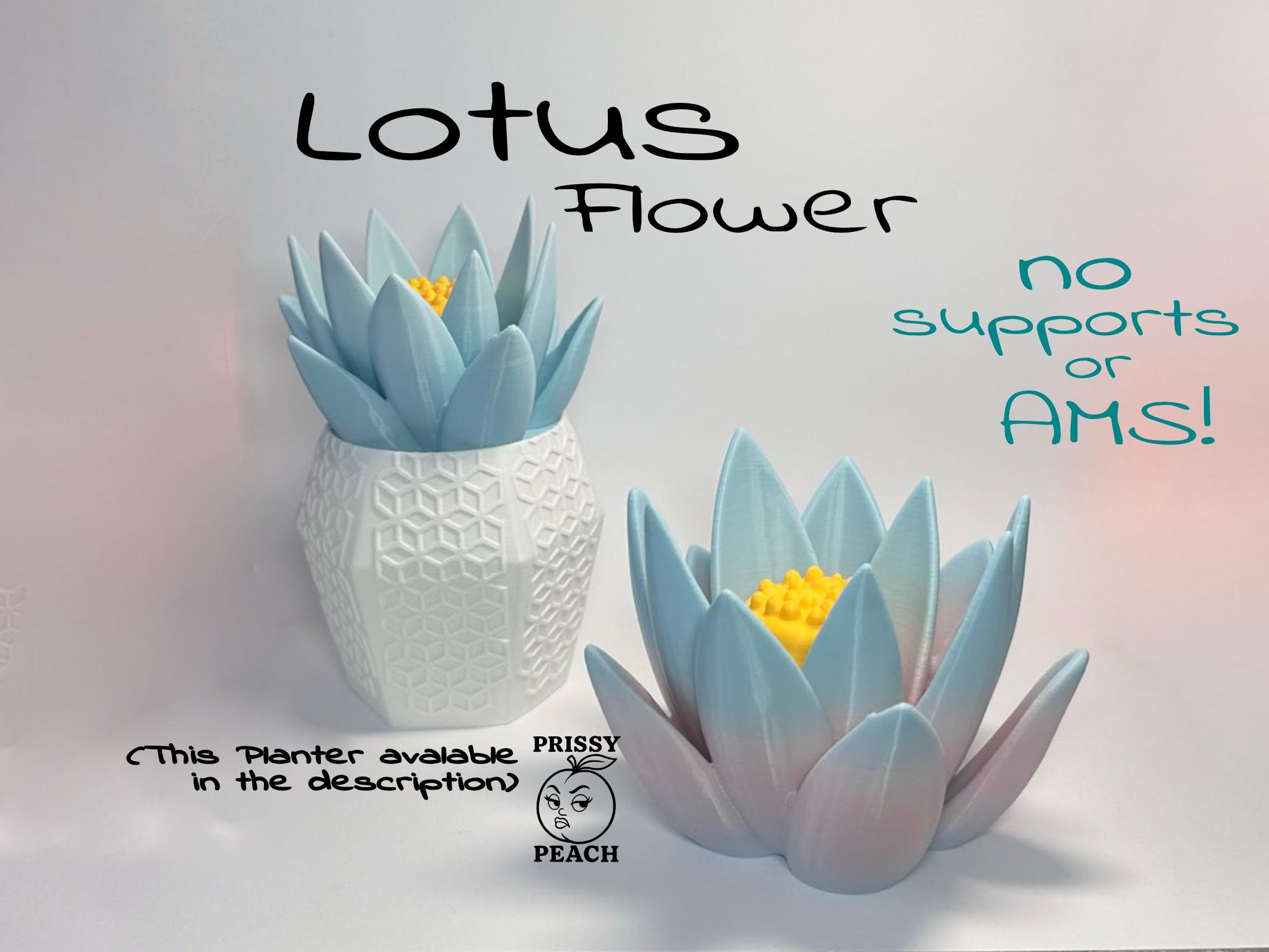 Lotus Flower