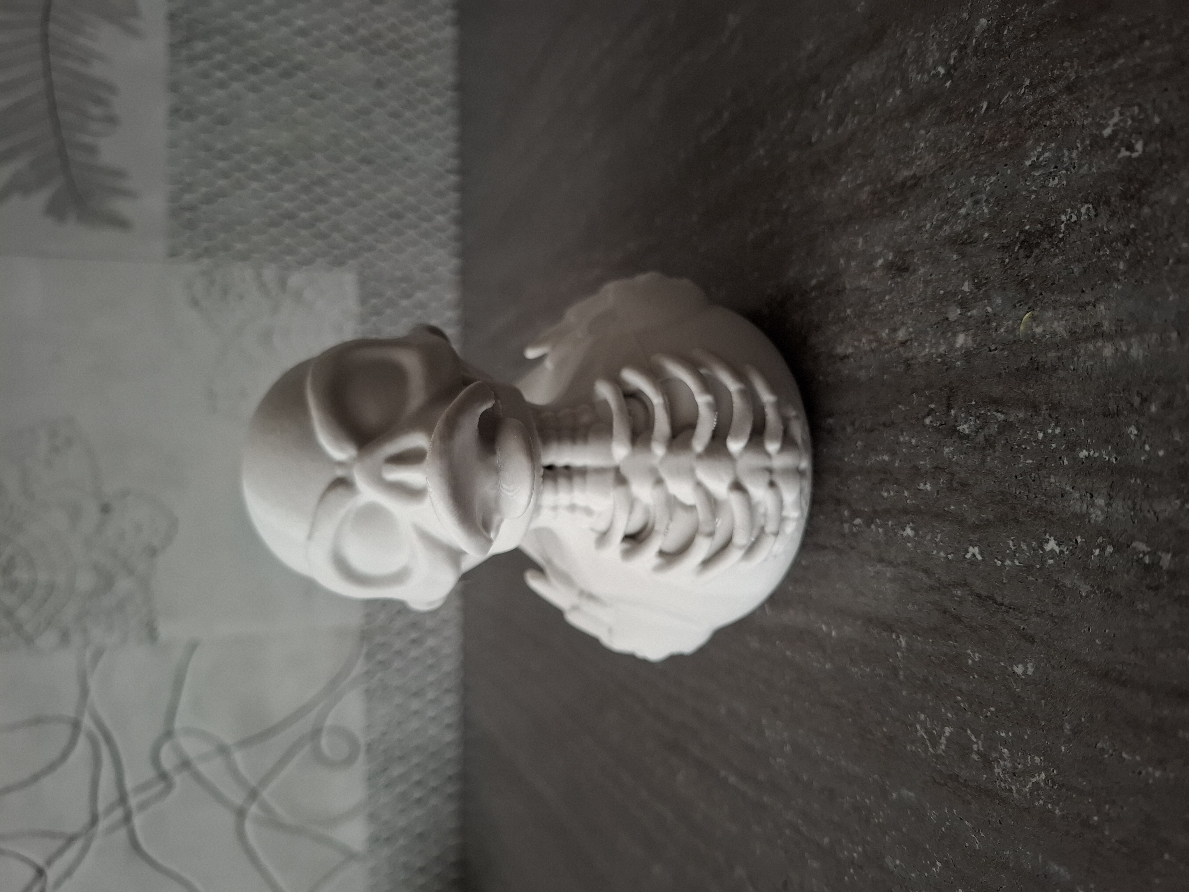 Miniatura 2 do modelo 3D Bone Duck