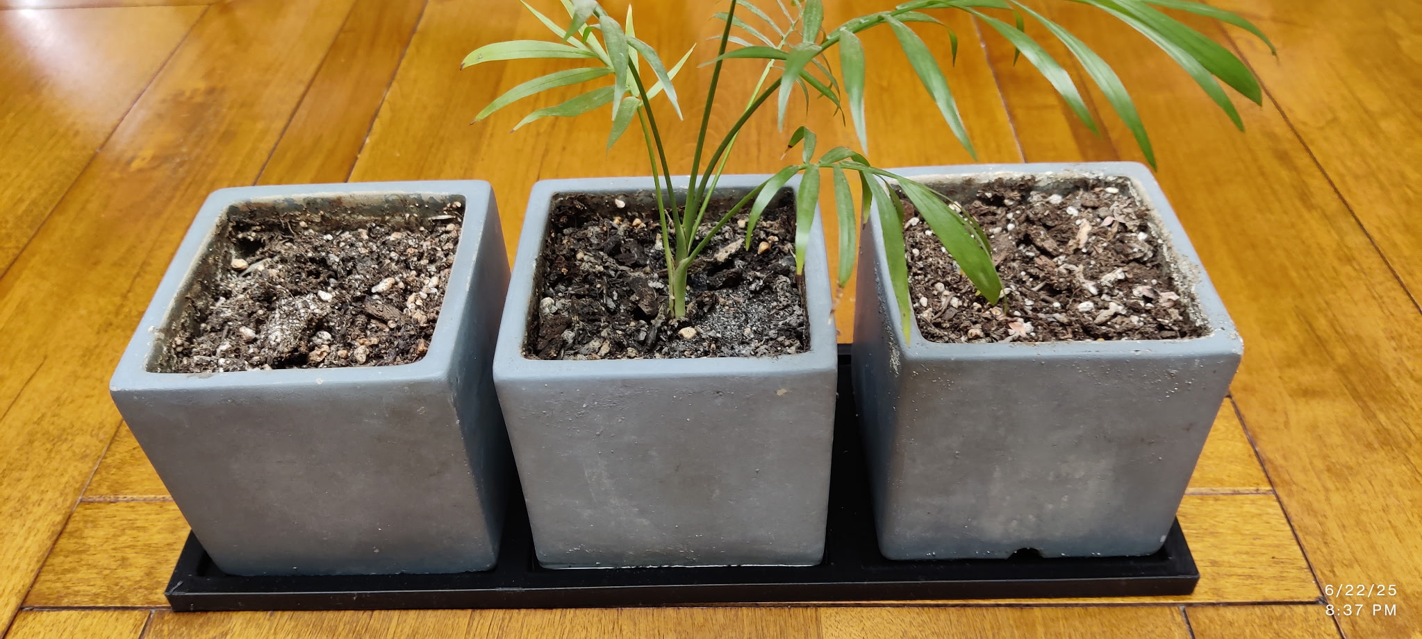 100mm square planter pot drip tray to join 3 pots