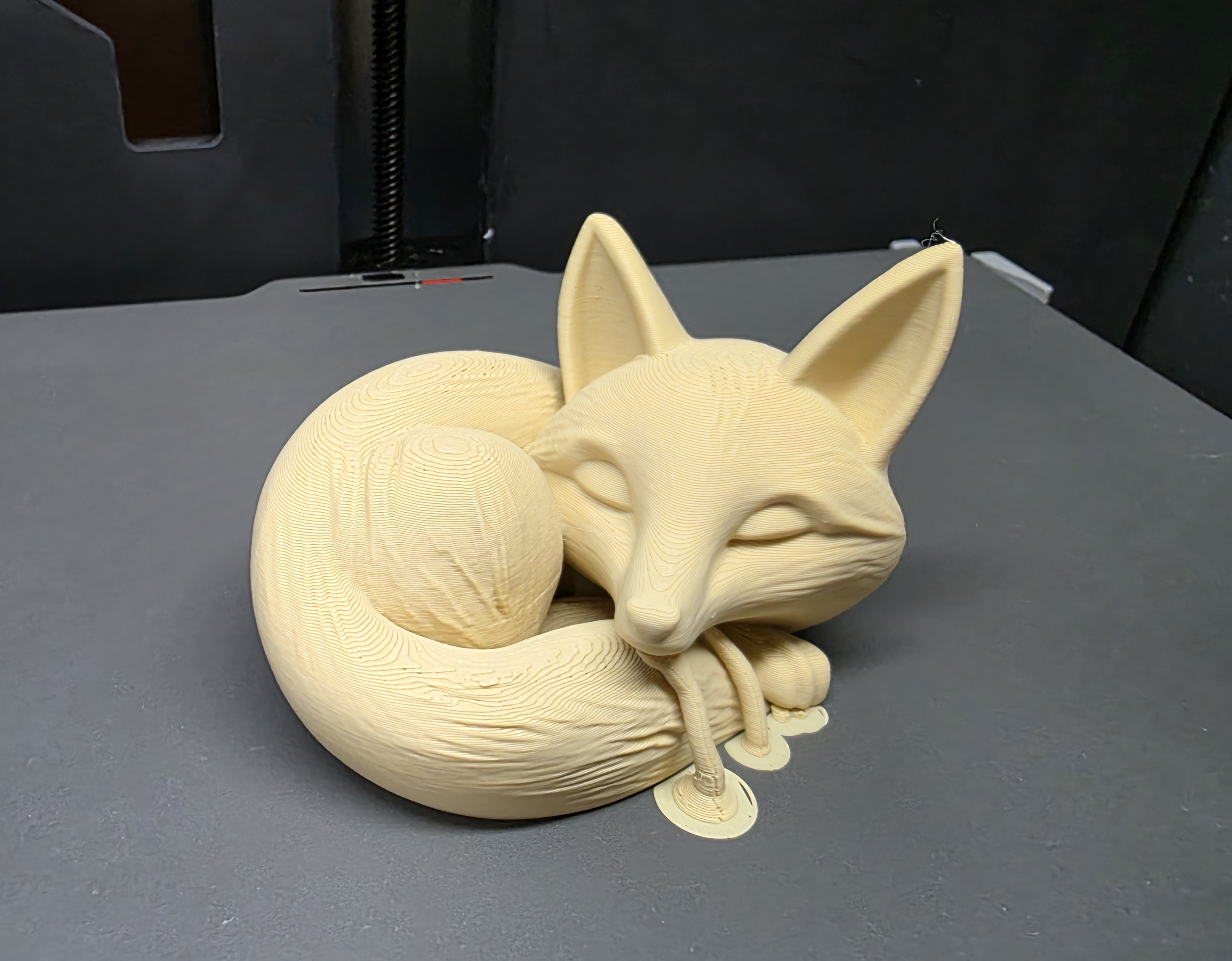Miniatura 8 do modelo 3D Sleeping Fox 1