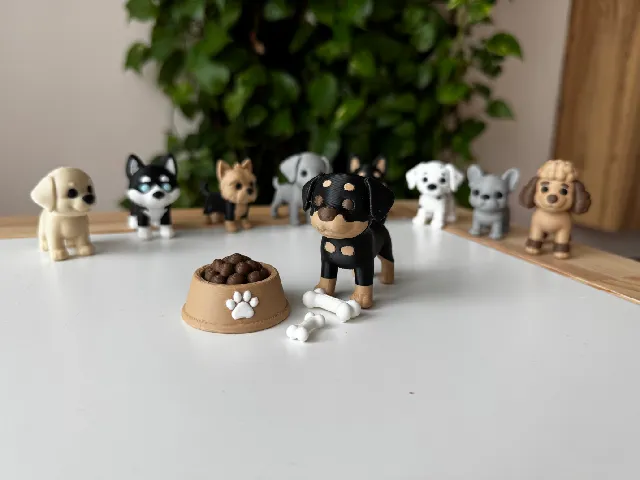 Rottweiler