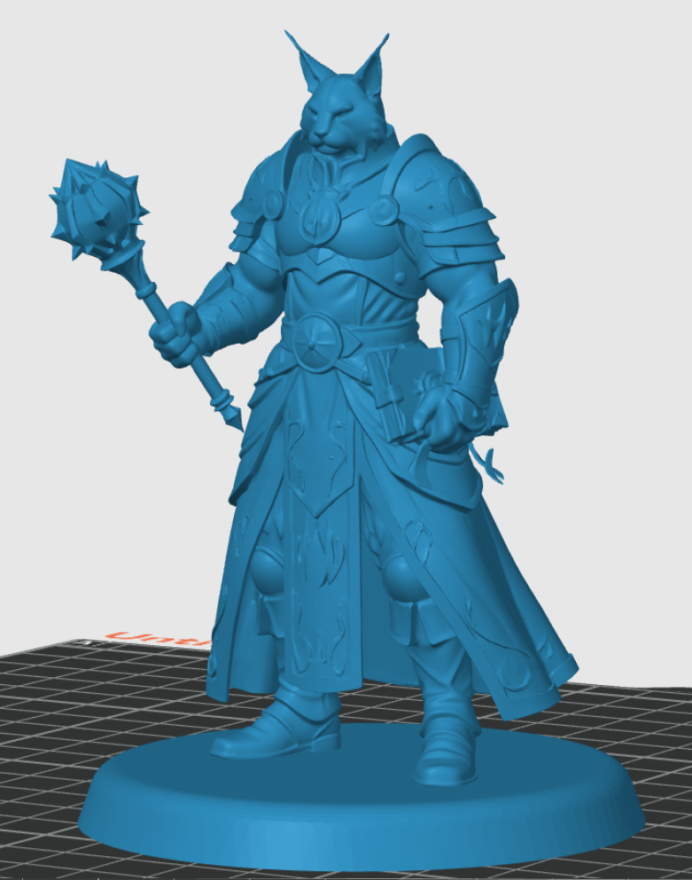 Tabaxi Cleric — miniatura 4