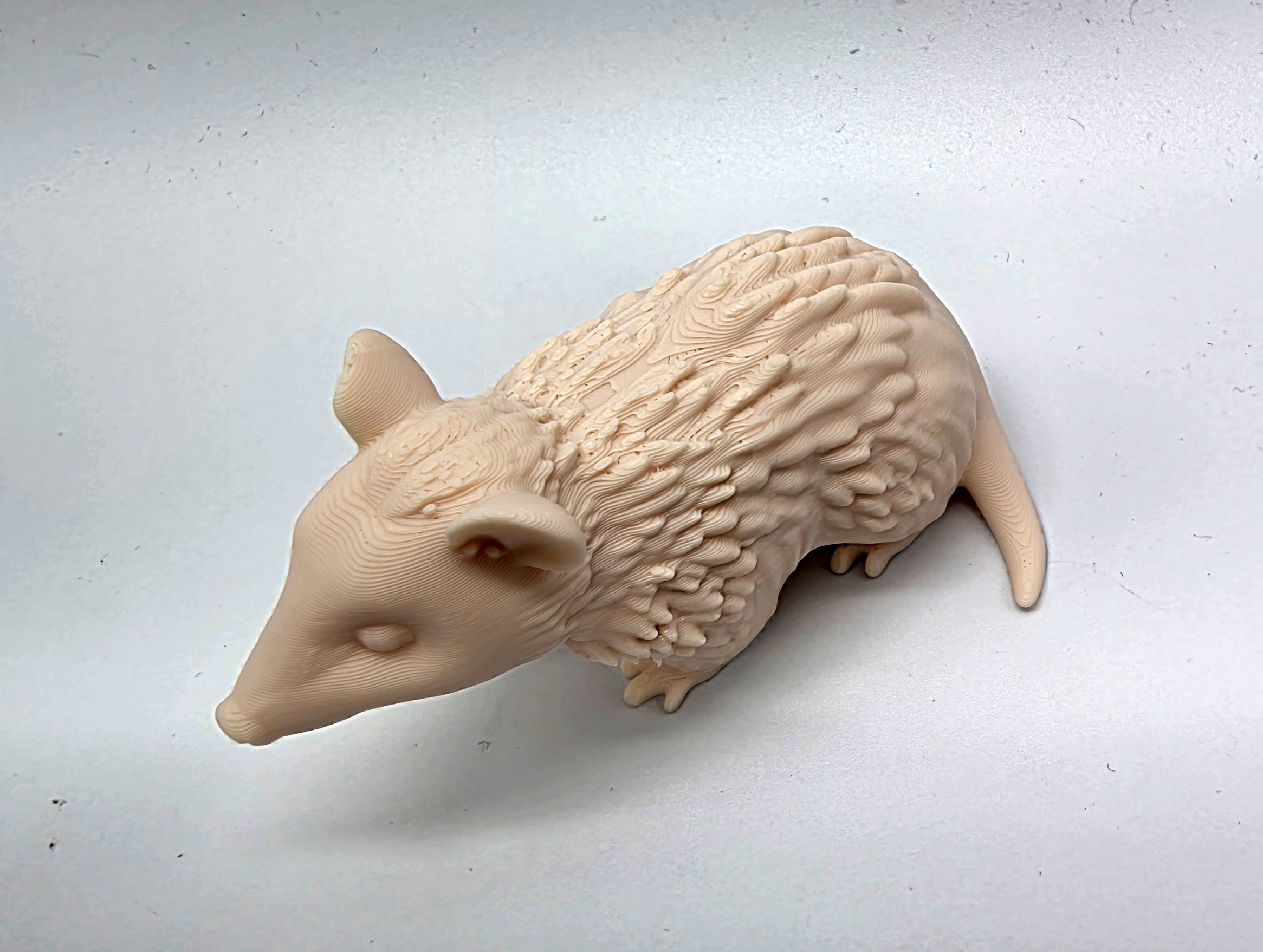Miniatura 5 do modelo 3D Opossum