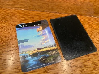 The Resistance: Avalon Board Game Insert (Fits Magic: the Gathering card  sleeves) by Ethan G | Download free STL model | Printables.com