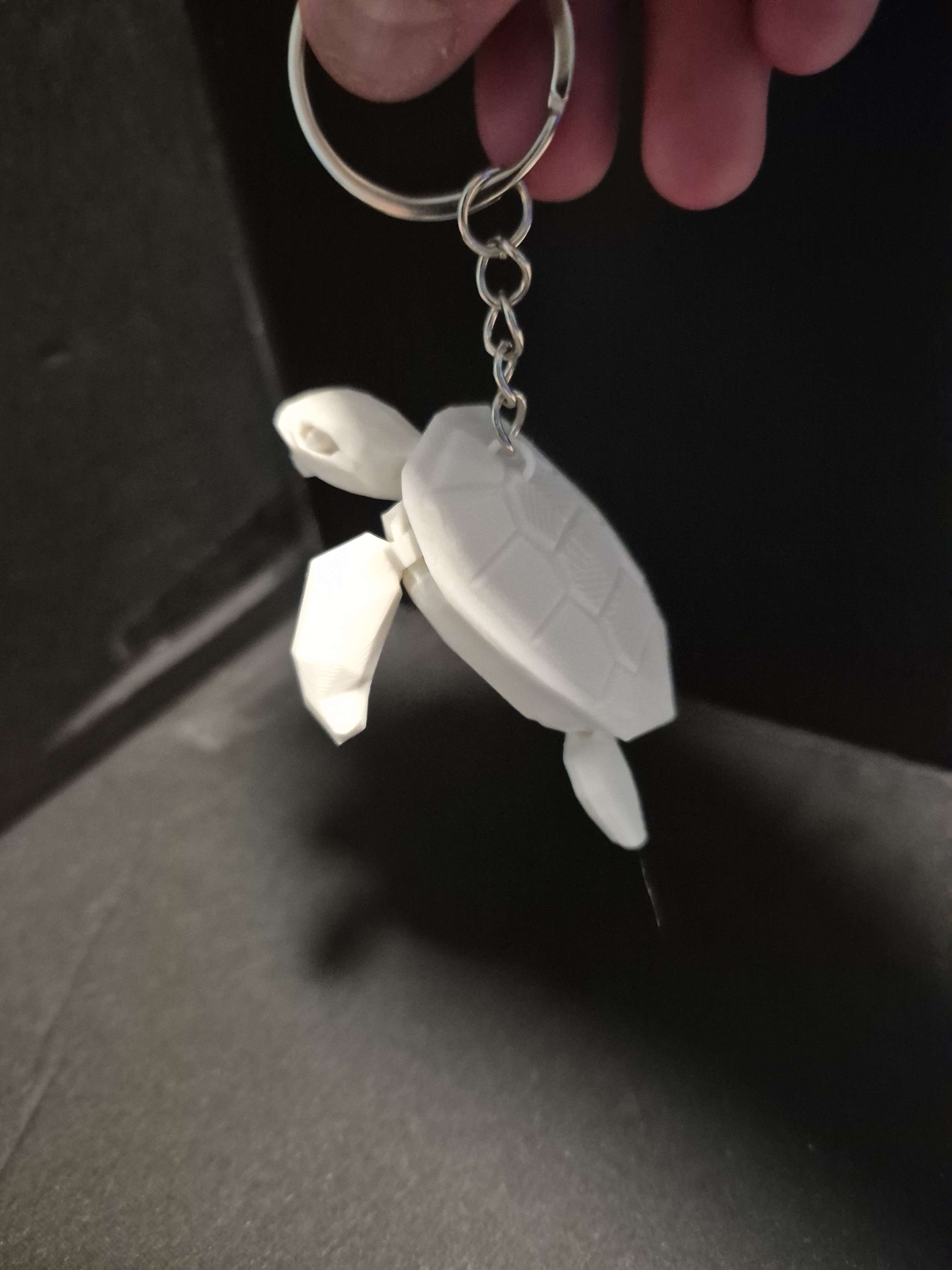 Flexi Sea Turtle Keychain