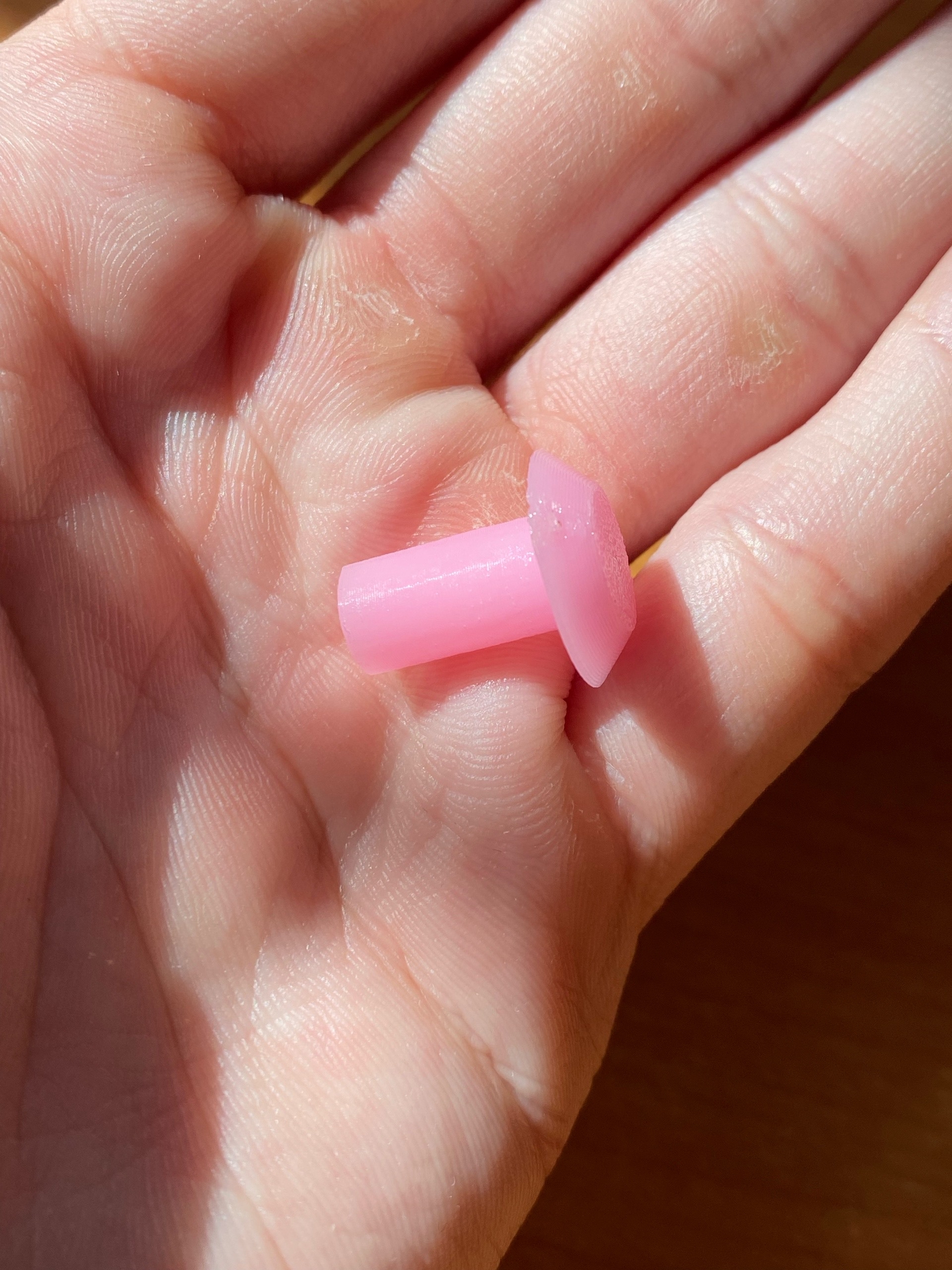 Cap for the Nozzle for a 5-liter canister 3D model