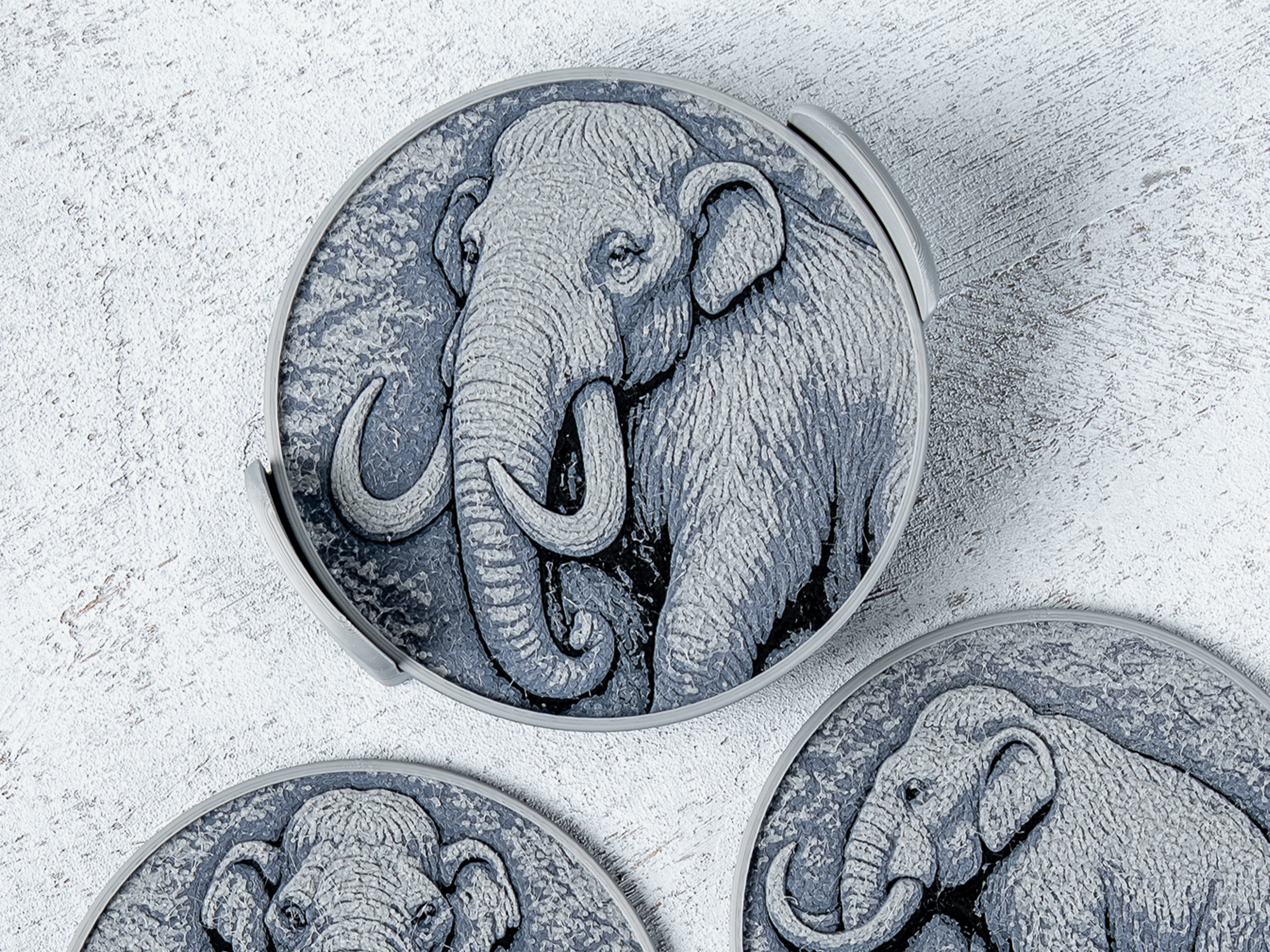 Mammoth Coasters