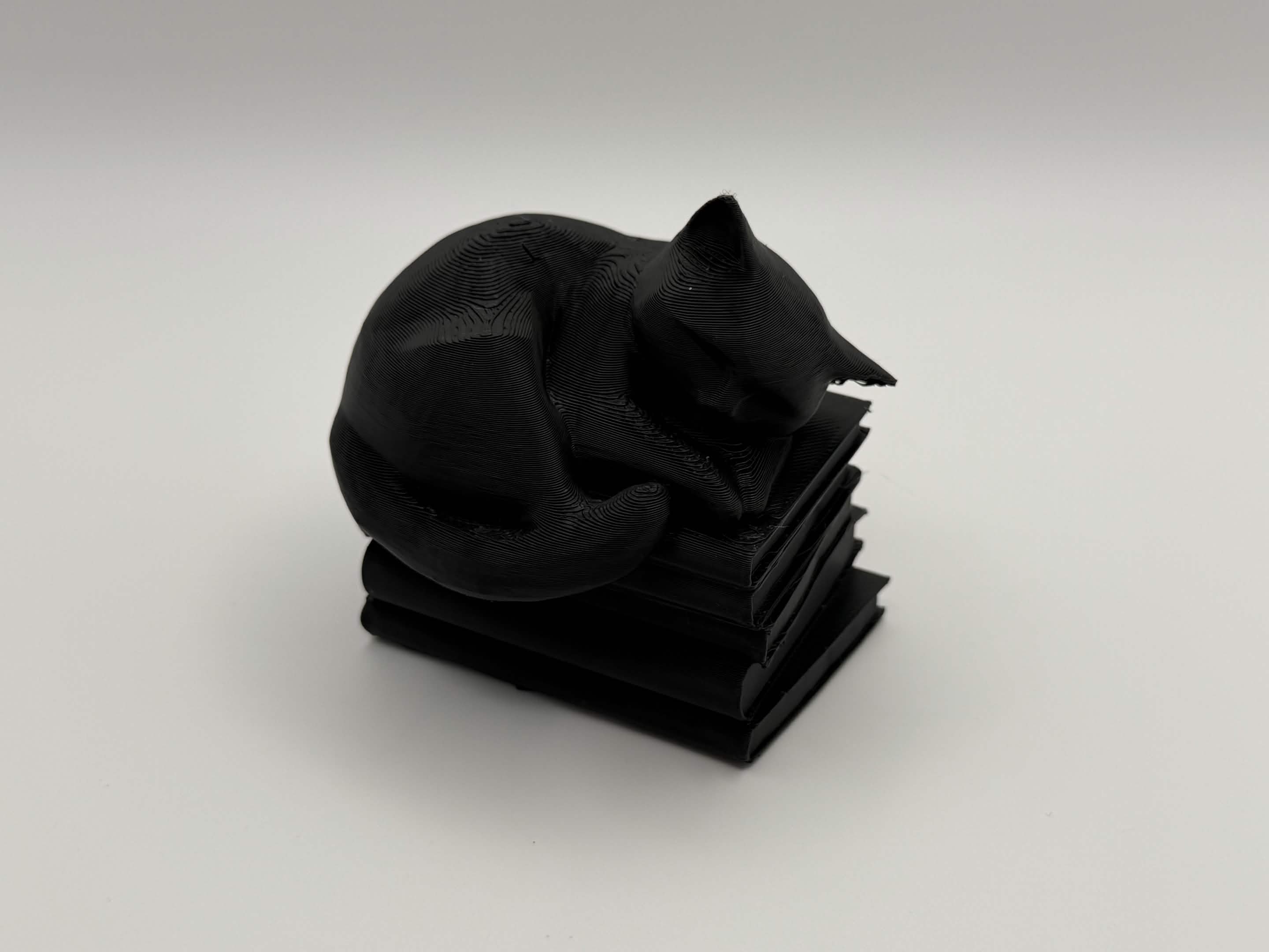 Cat Sleeping on Books