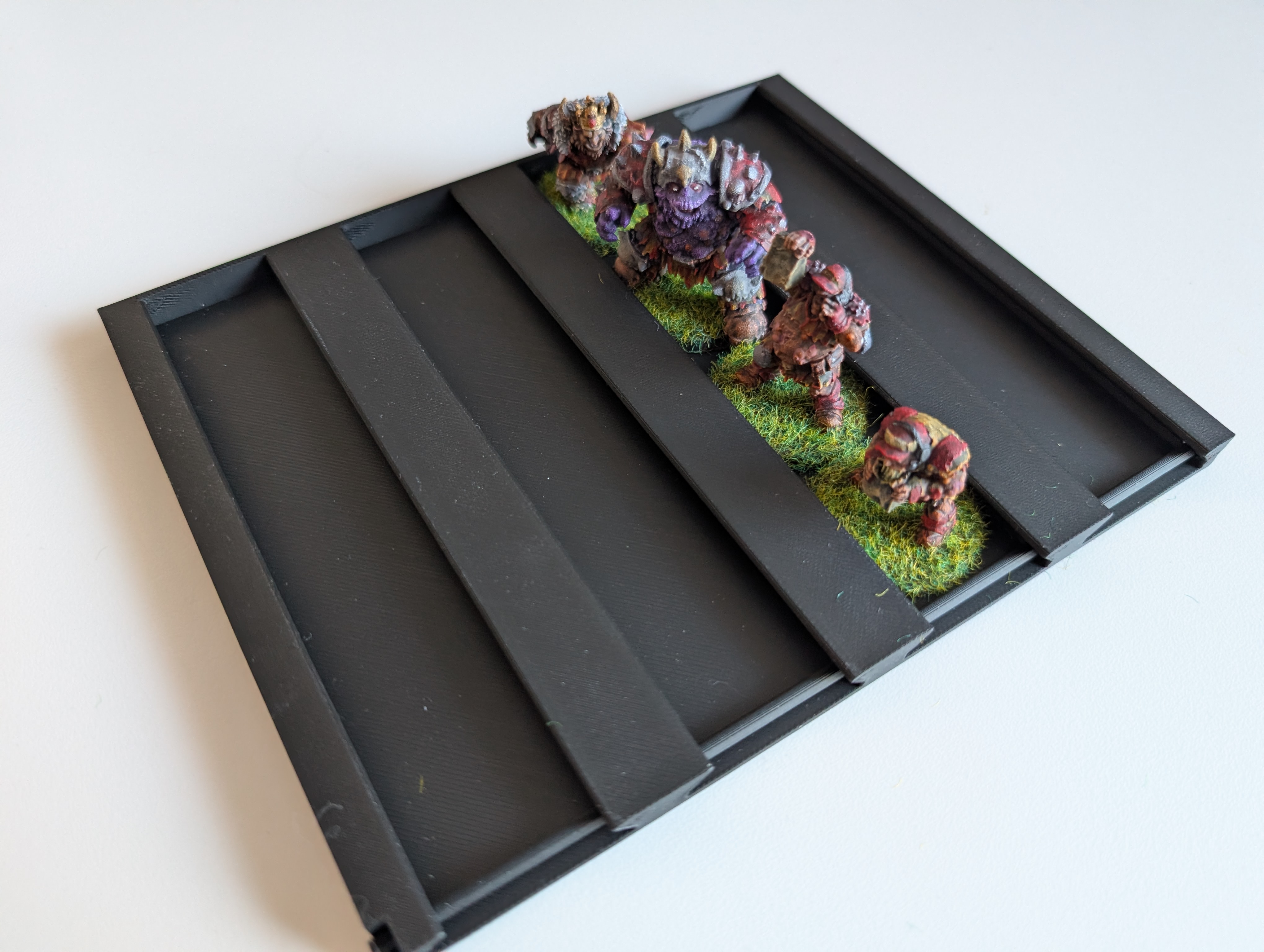 Model Carry Tray