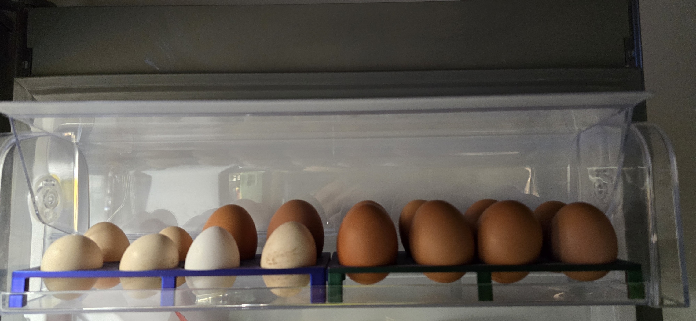 Egg Holder fridge