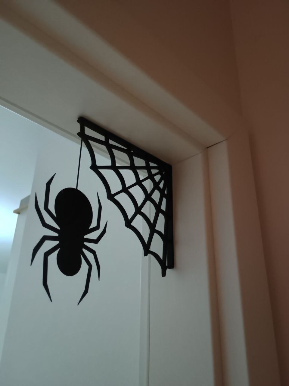 Spider web on the doorframe