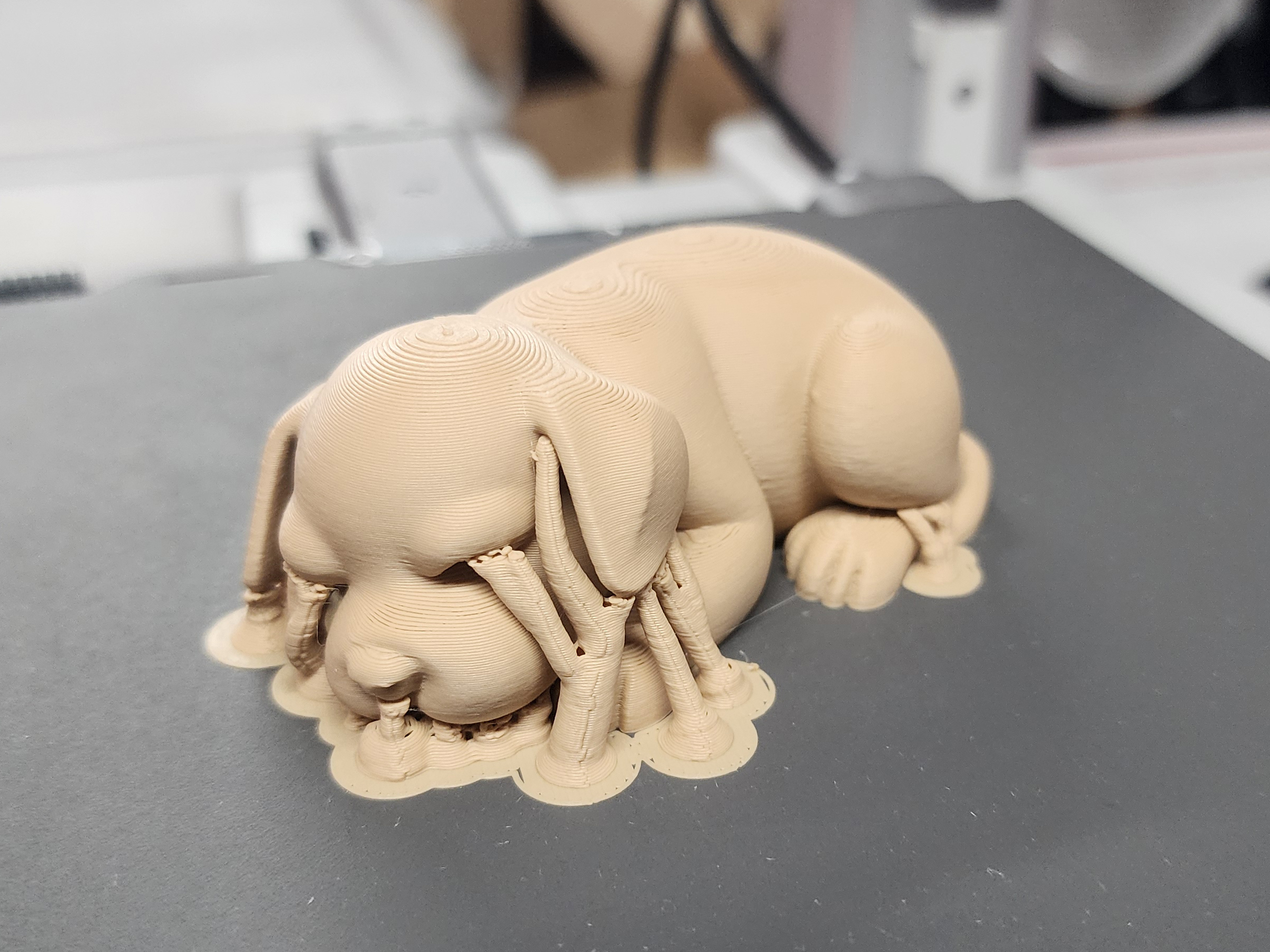 Sleeping Puppy — miniatura 6