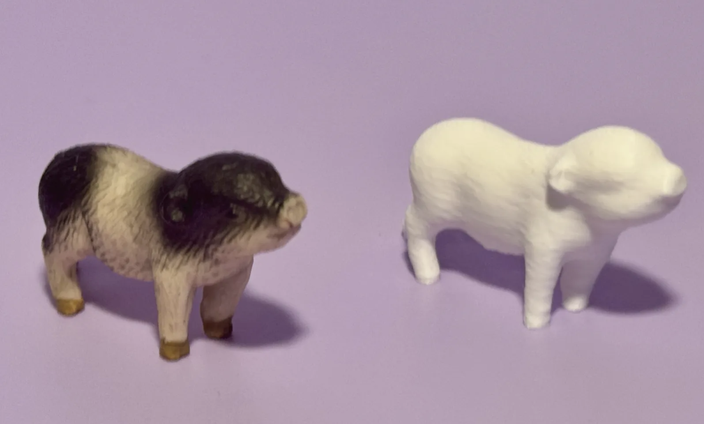 Animal Collection #02: scanned little pig