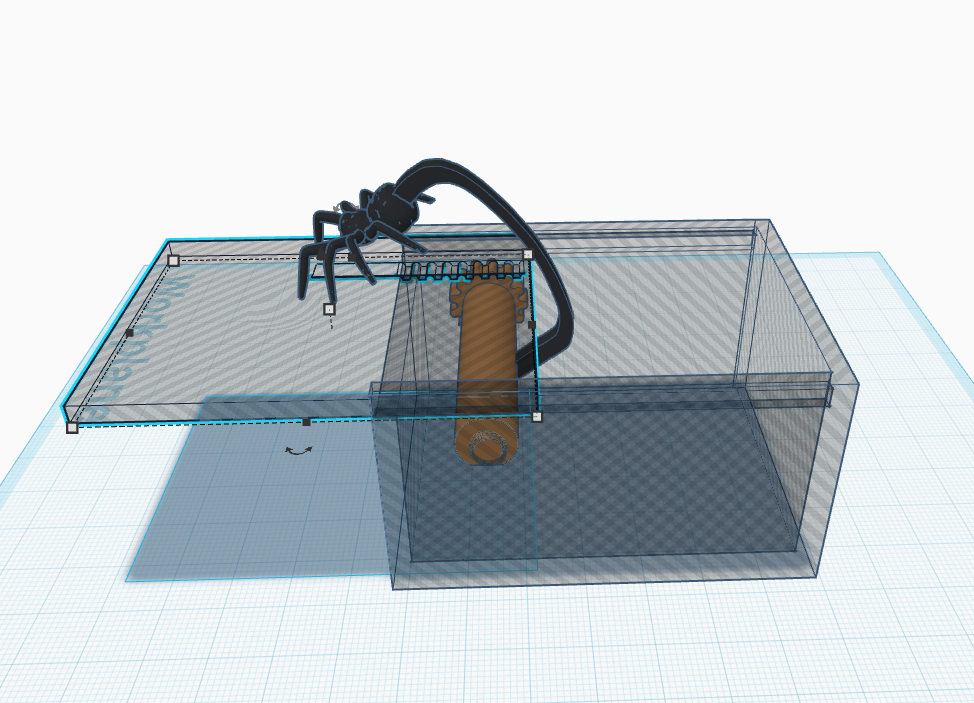 scare spider box — miniatura 3