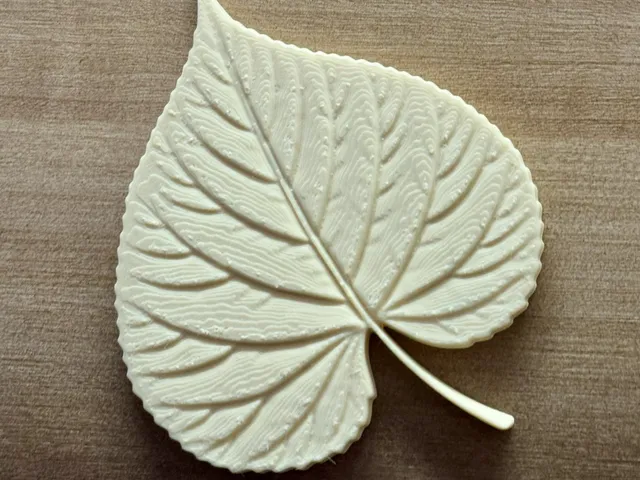 relief linden leaf solo symbol model