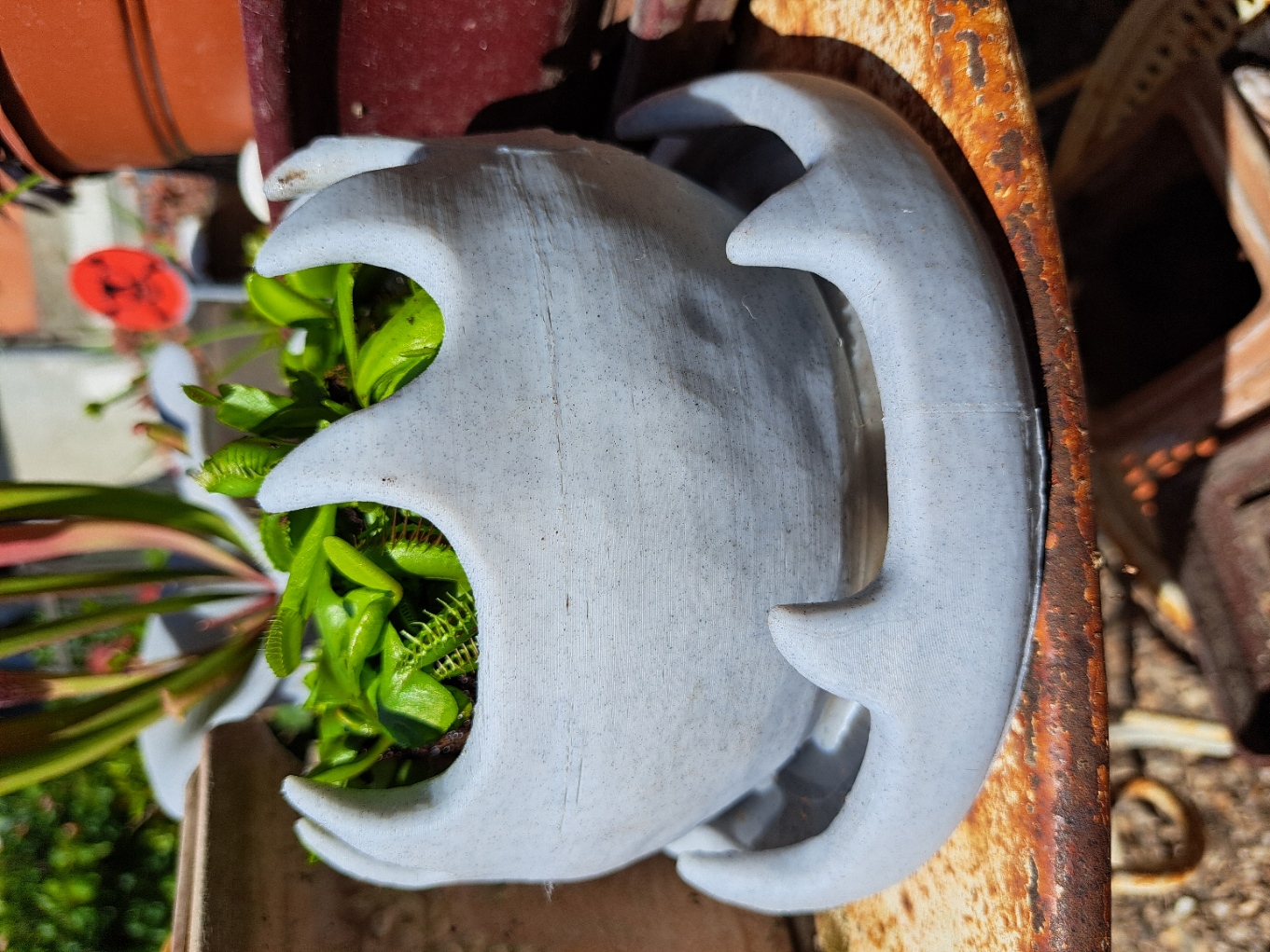 Pot pour plantes carnivores