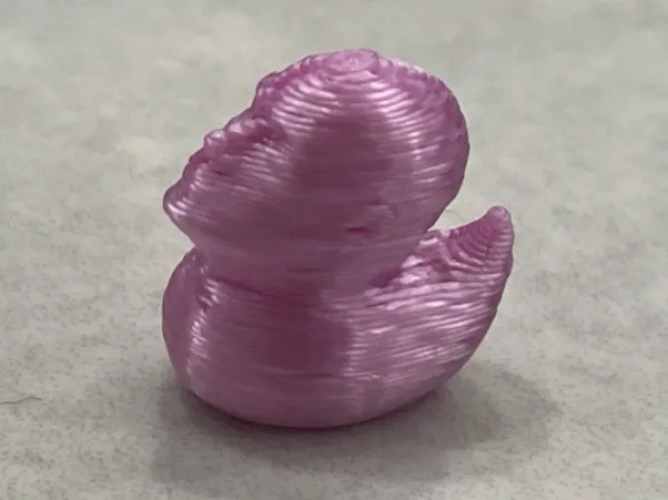 DwaneTheDuckJohnson