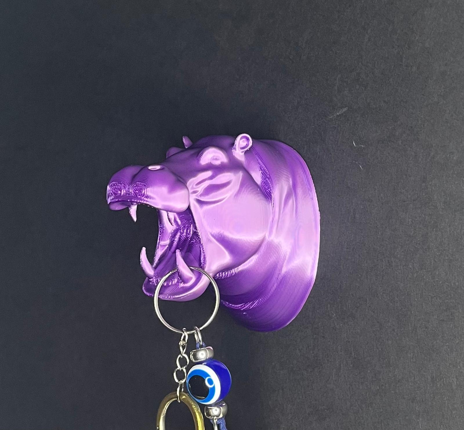 Hippo-hippo wall mounted decoration key holder organizer