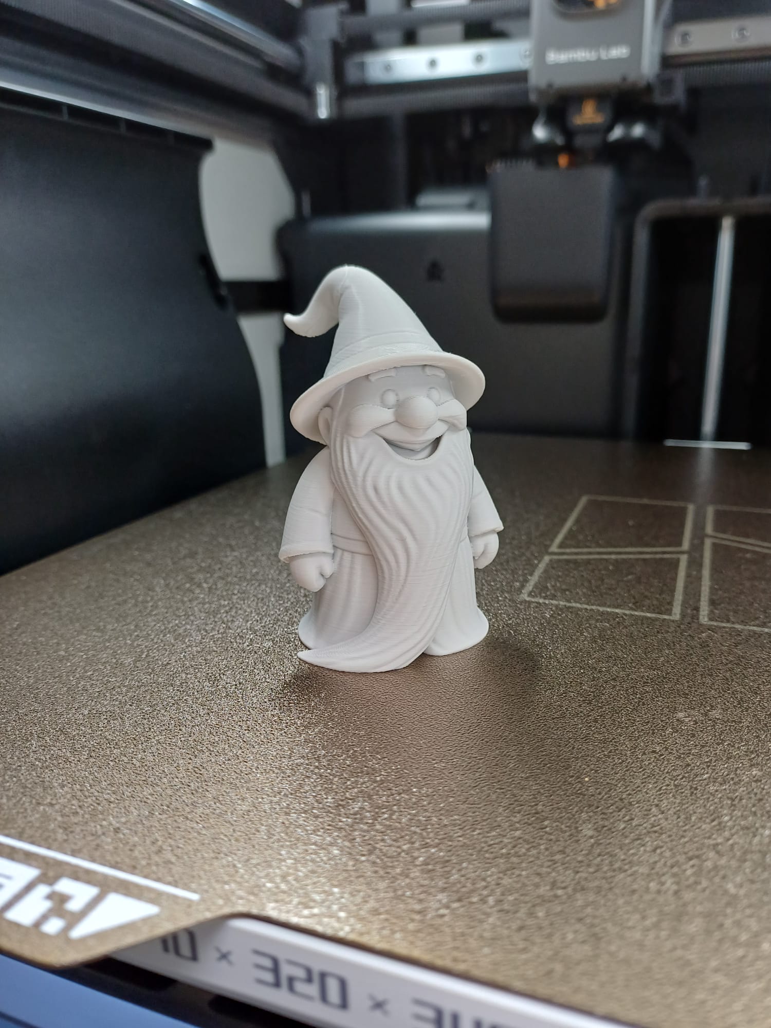 The Wizard Gnome