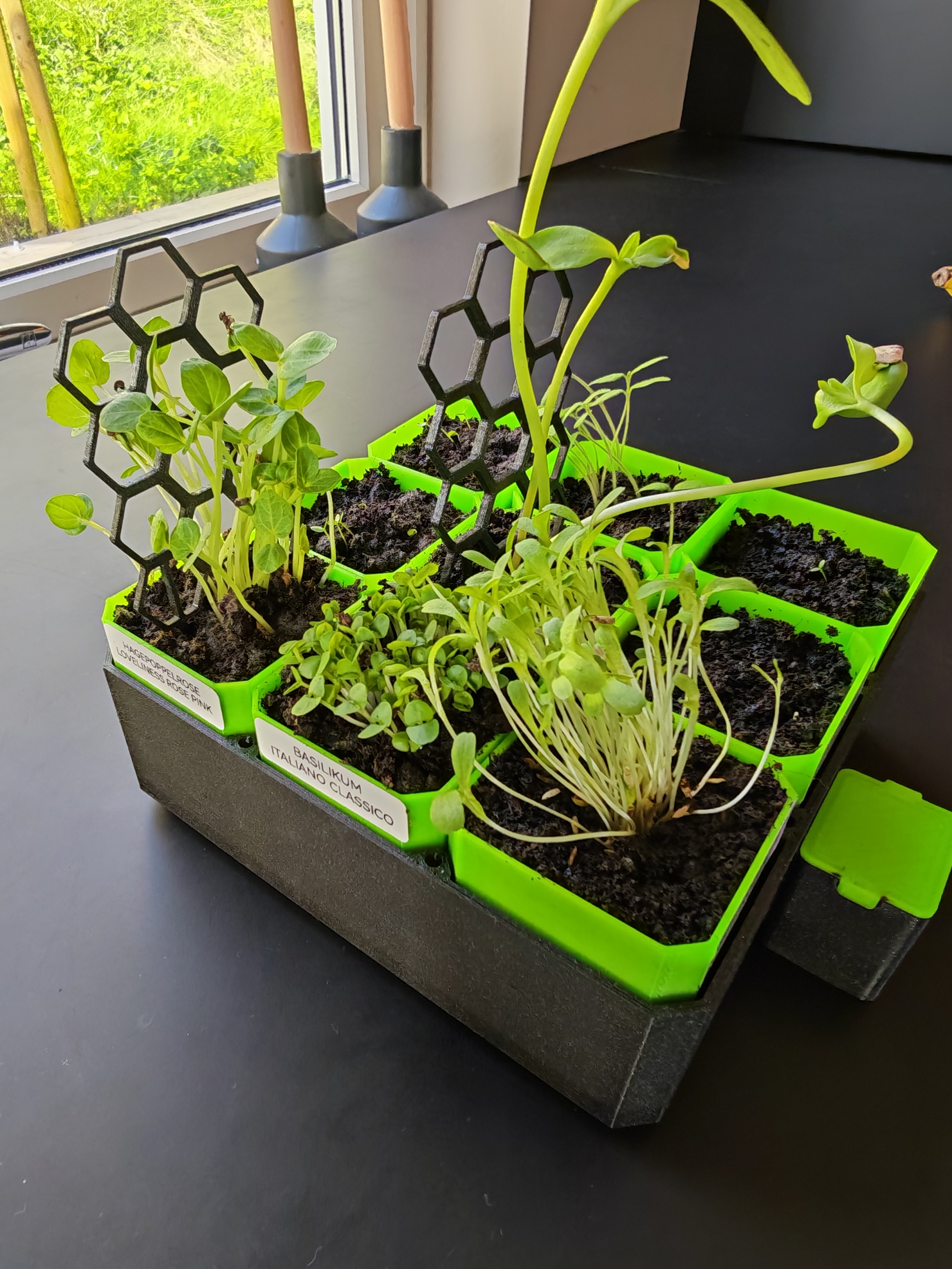 Modern Honeycomb Plant Trellis (No Supports / Fast Print)