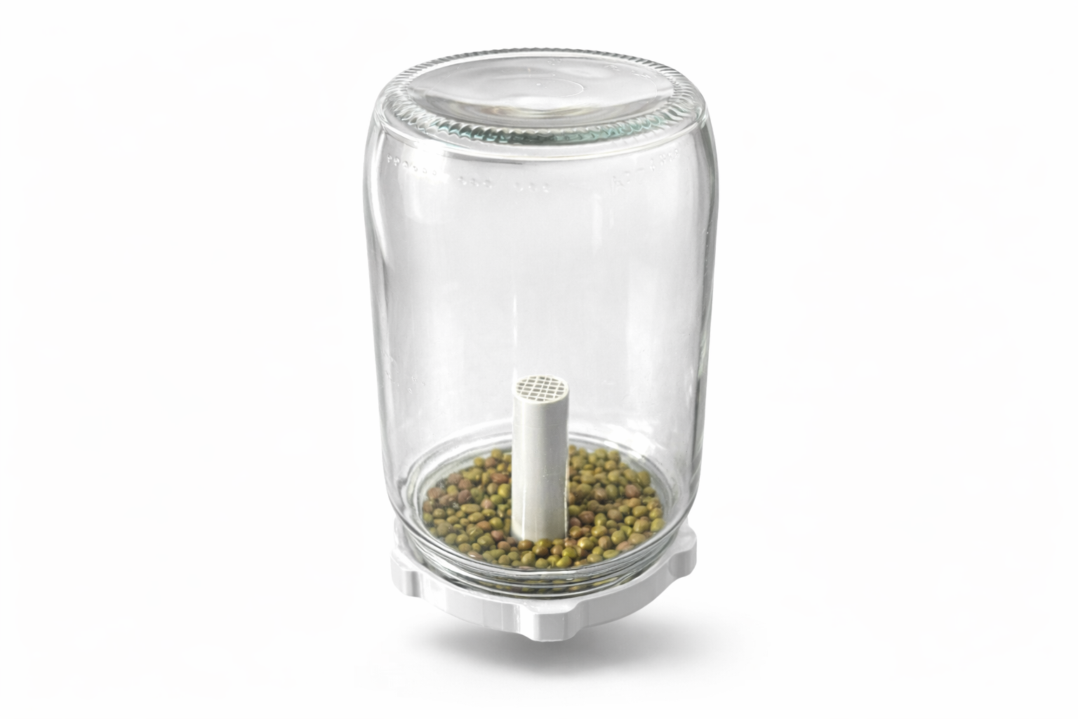 Jar Lid Sprouter – Seed Germination Cap for Standard Jars
