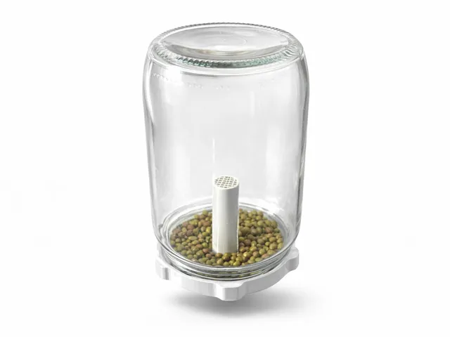 Jar Lid Sprouter – Seed Germination Cap for Standard Jars