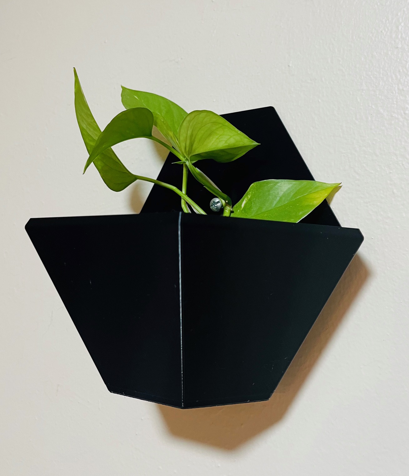 Plant Holders - Wall Mounted