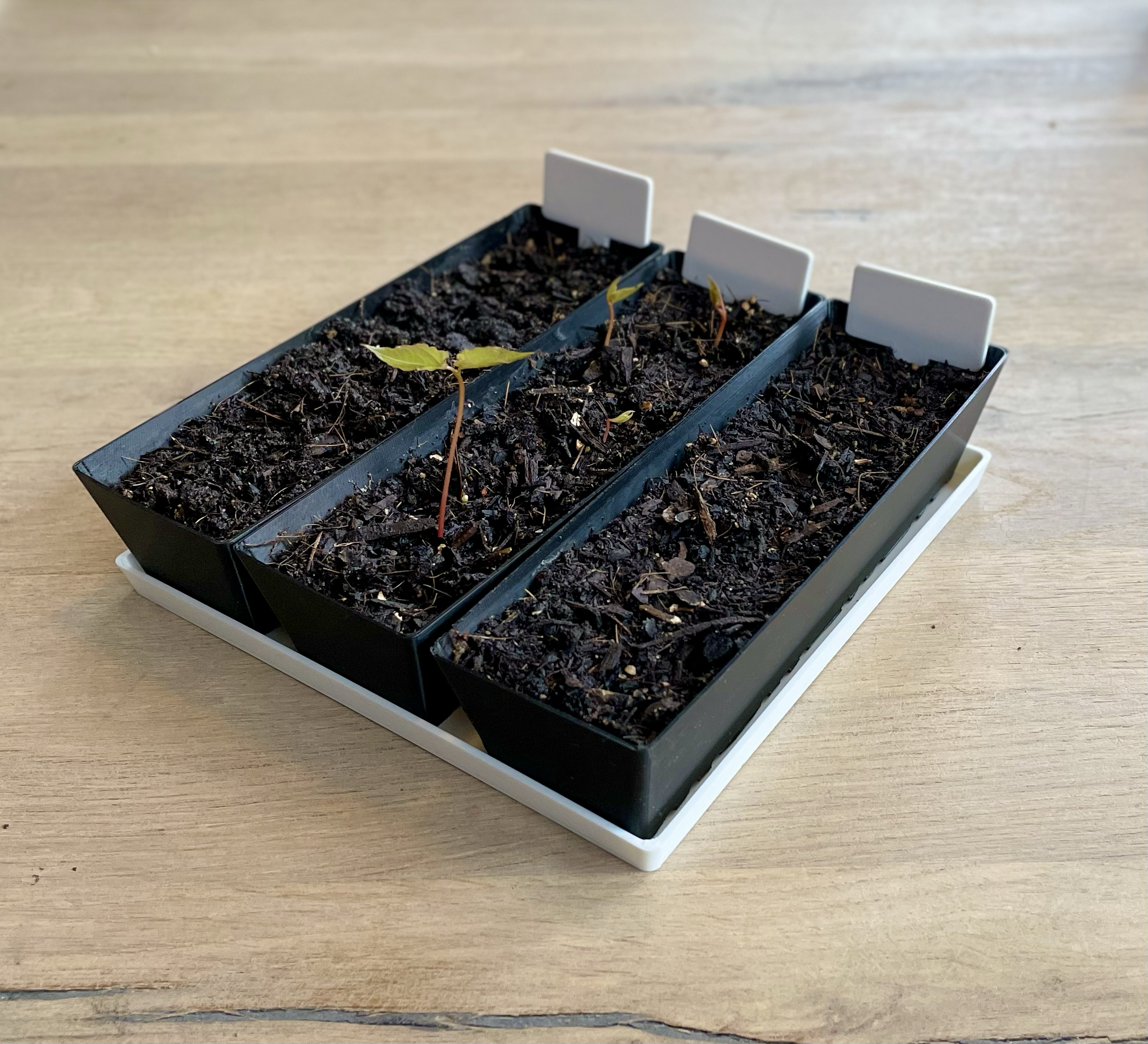 Stackable Seed Starter / Planter / Growing Cups with Tray and Plant Flag
