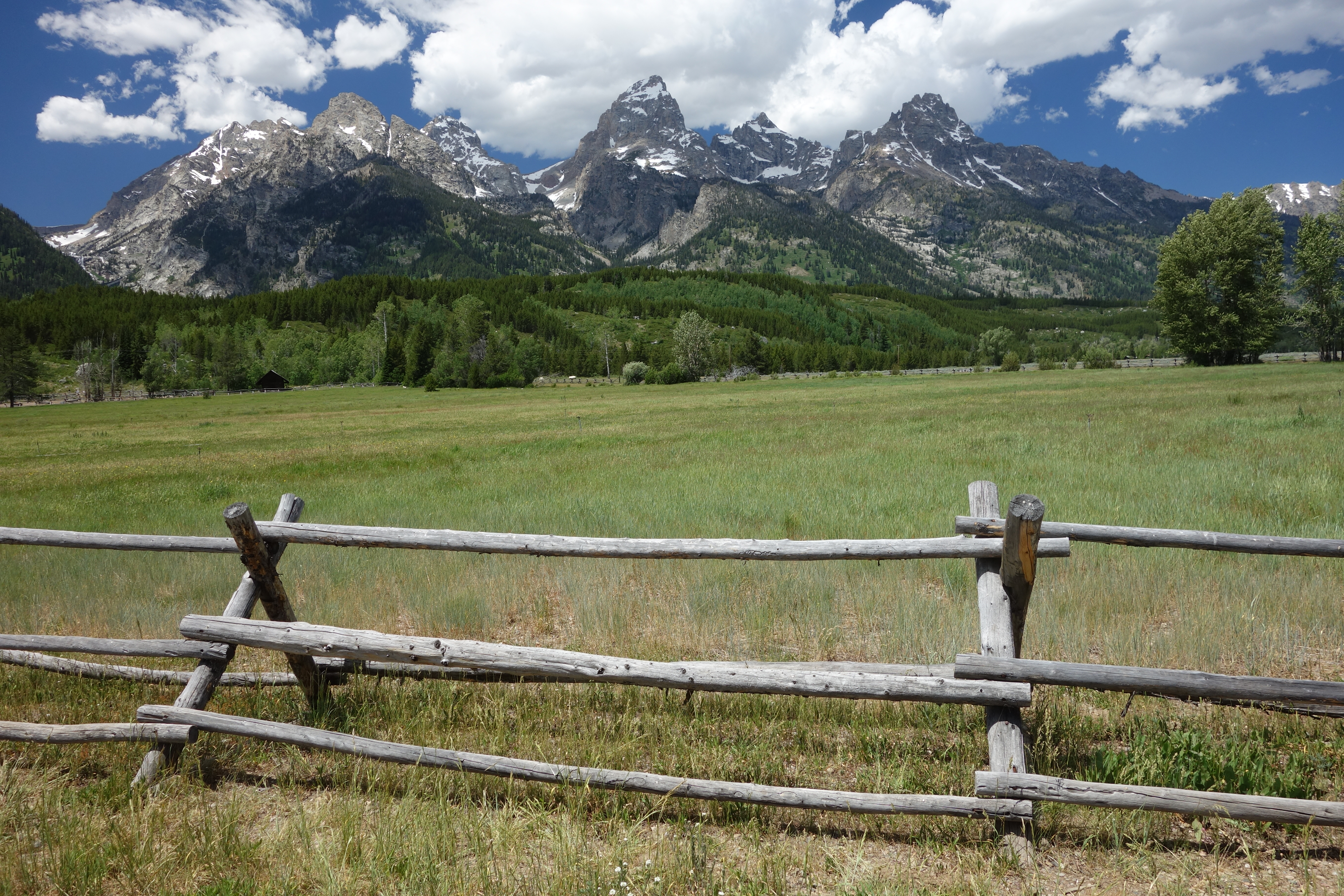 HO Scale Western Buck & Rail Fence