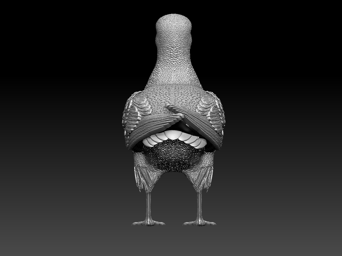 seagull — miniatura 4
