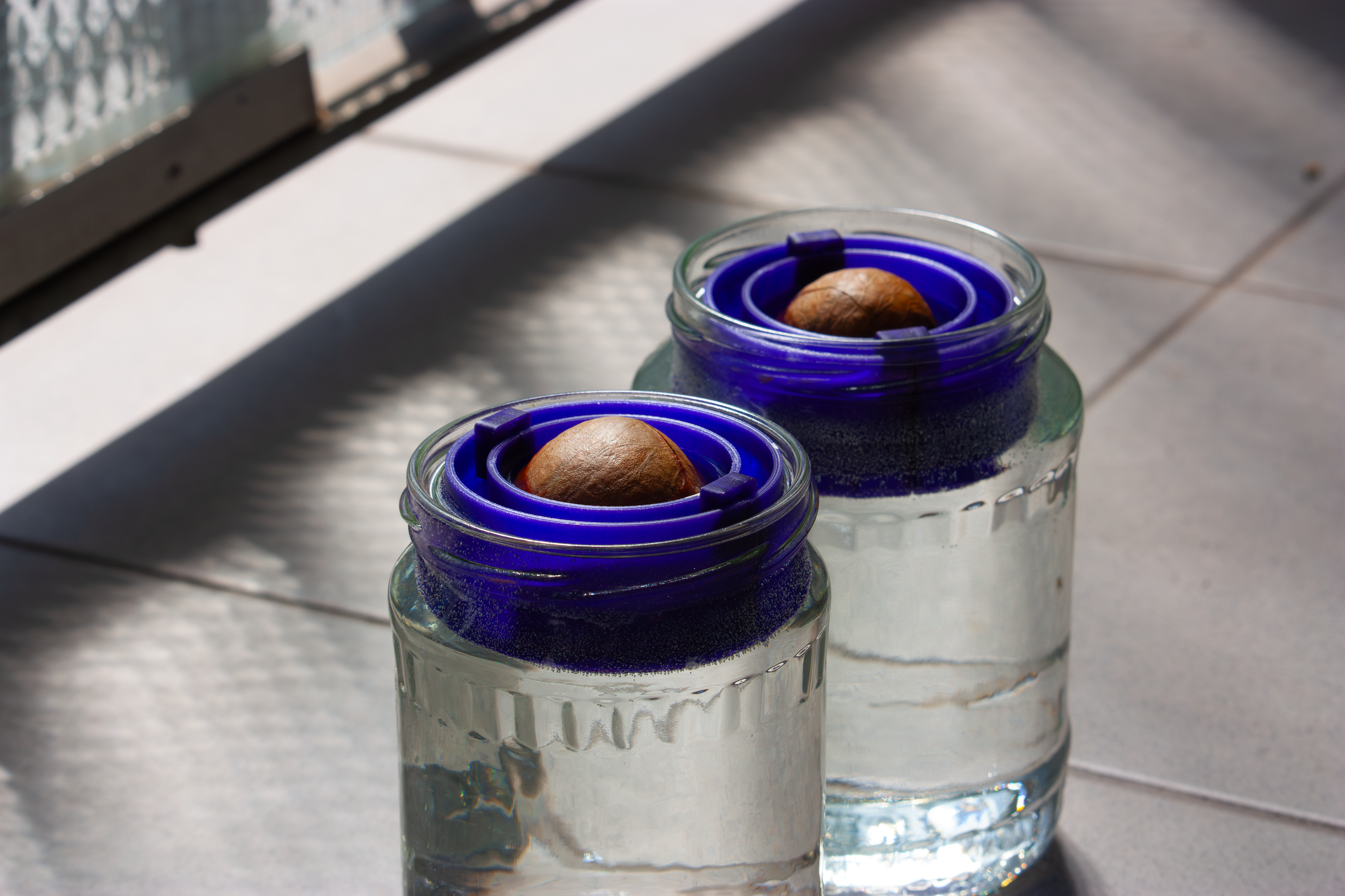 Avocado seed floater - mason jar compatible 3D model thumbnail
