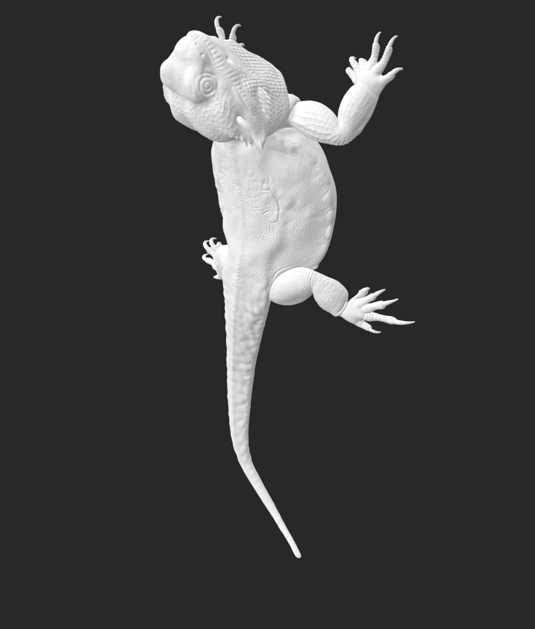 dragon lizzard