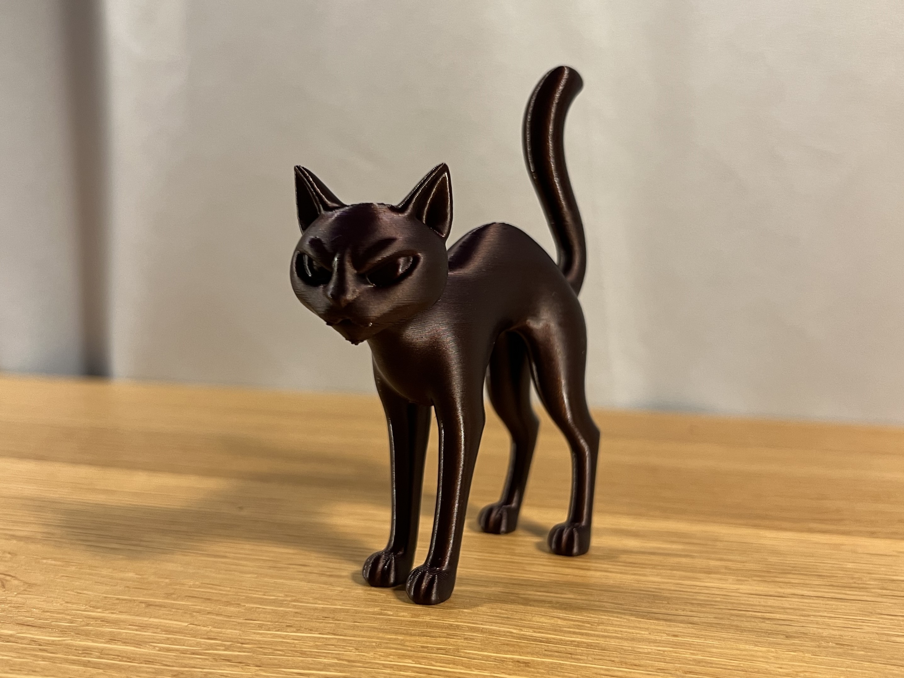 Spooky Cat