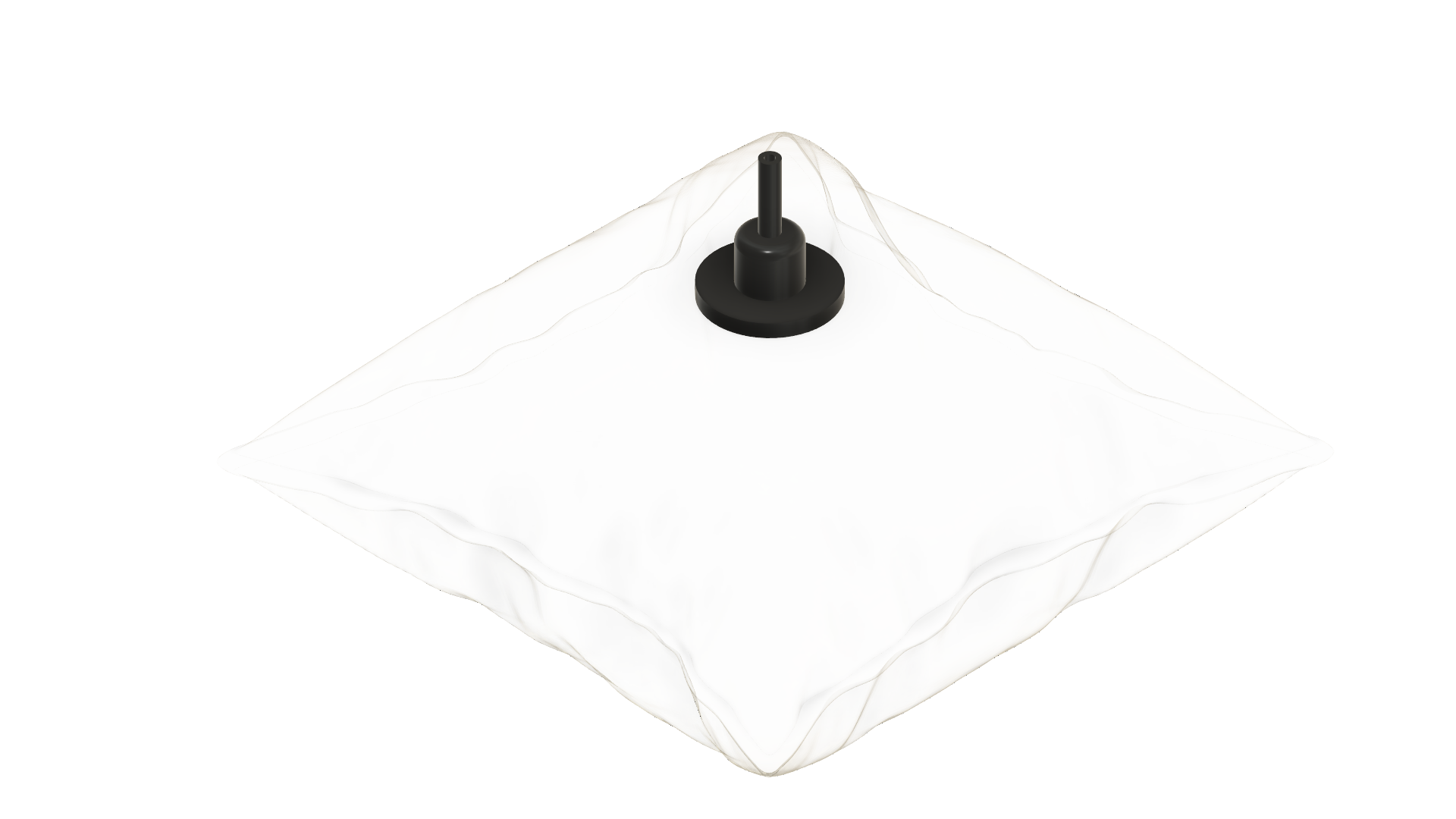 Tedlar bag 3D model