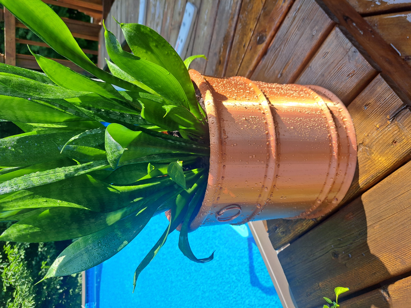 Big Copper Planter