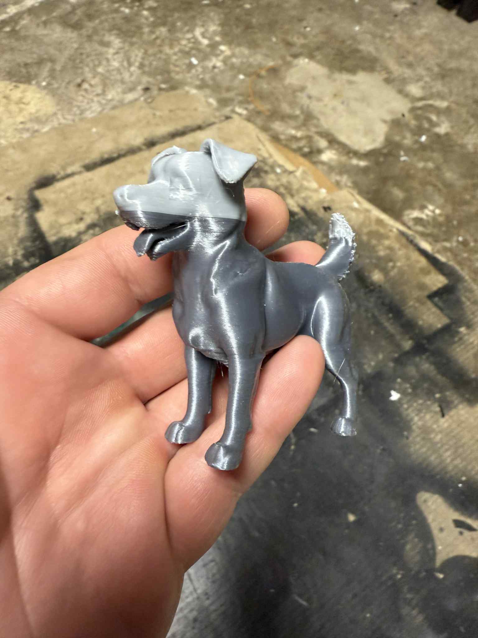 Beautiful dogs — thumbnail 5