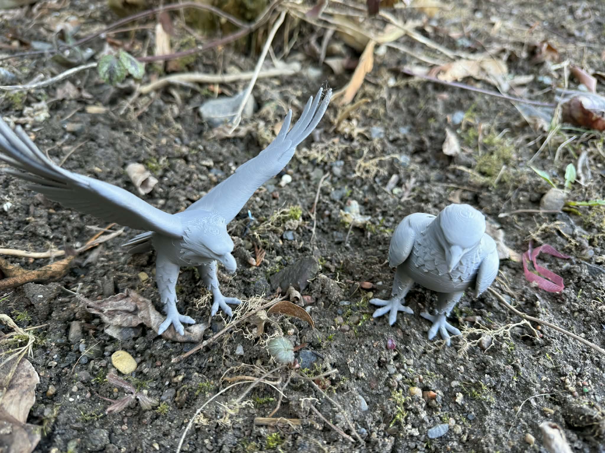 Eagles, sitting, with wings spread