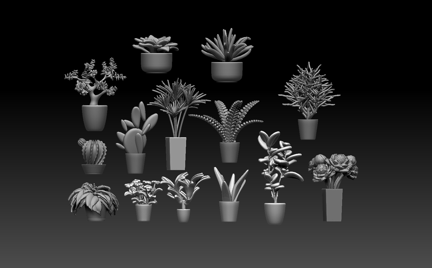 plants
