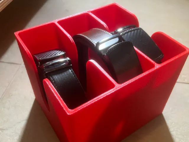 Three Compartment Storage Box for 3 Belts