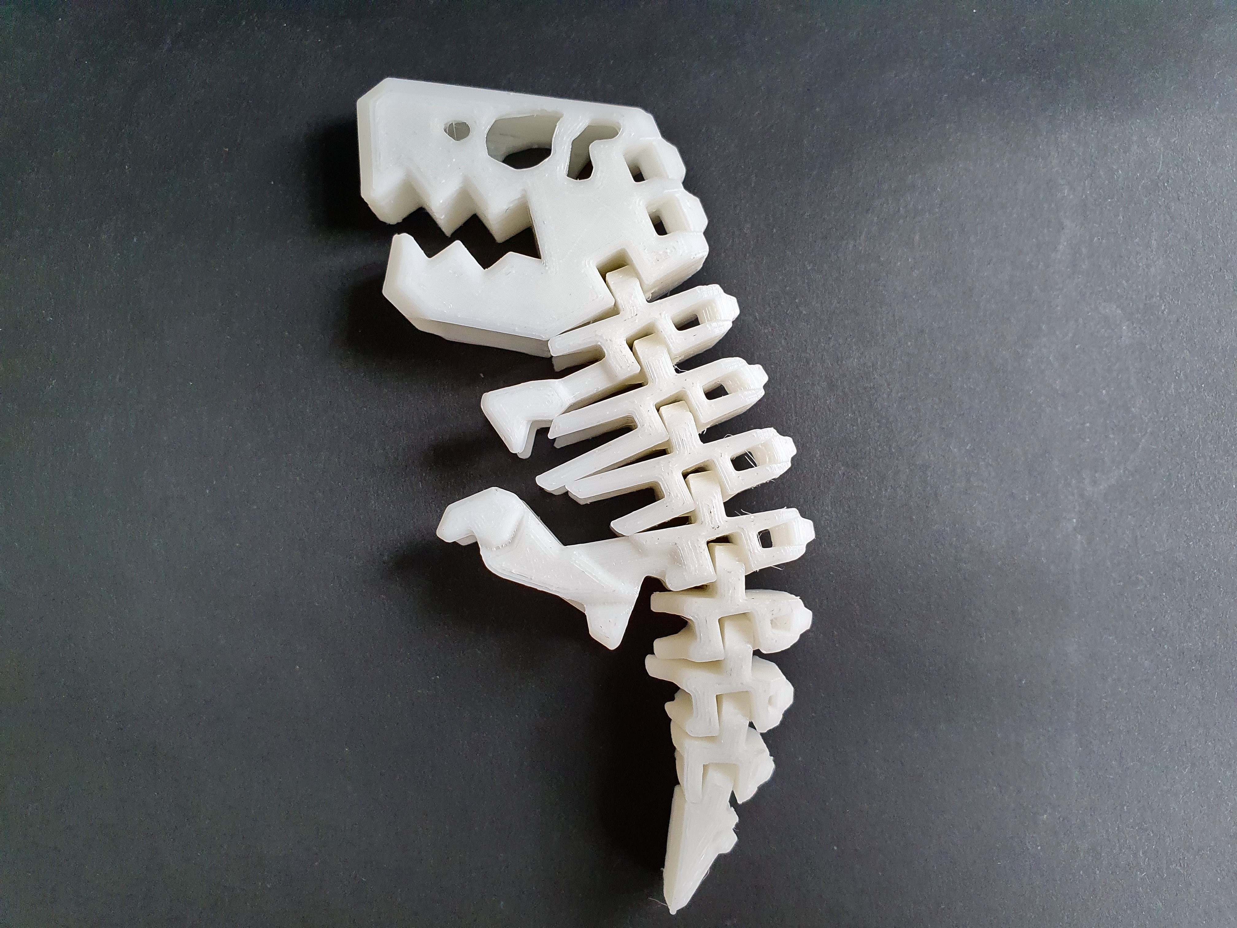 Miniatura 4 do modelo 3D Flexi Rex Skeleton