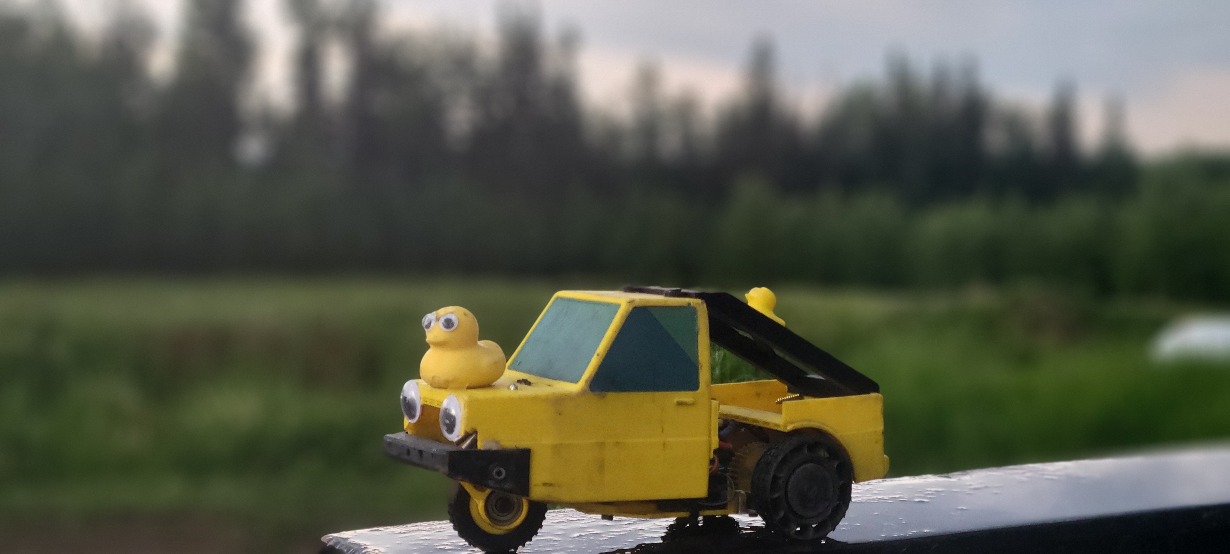 fully 3d printed dual and single axle RC beamng pigeon