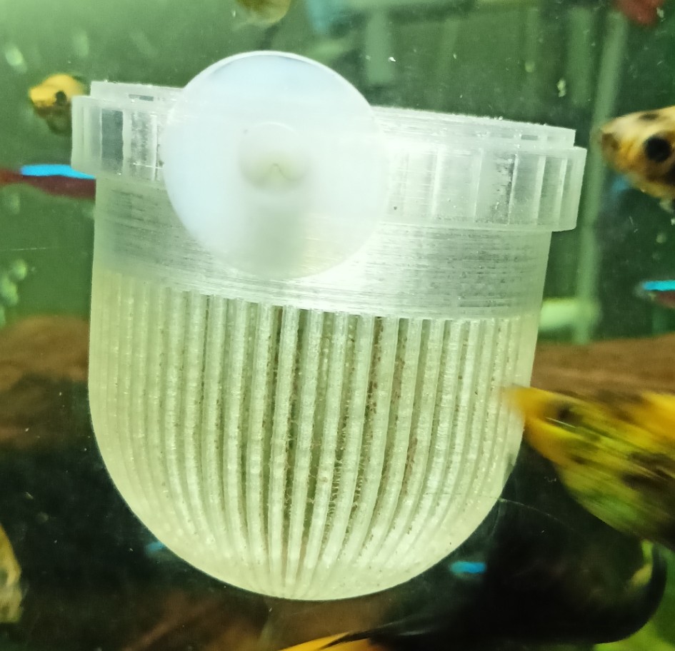 Live food feeder for aquarium